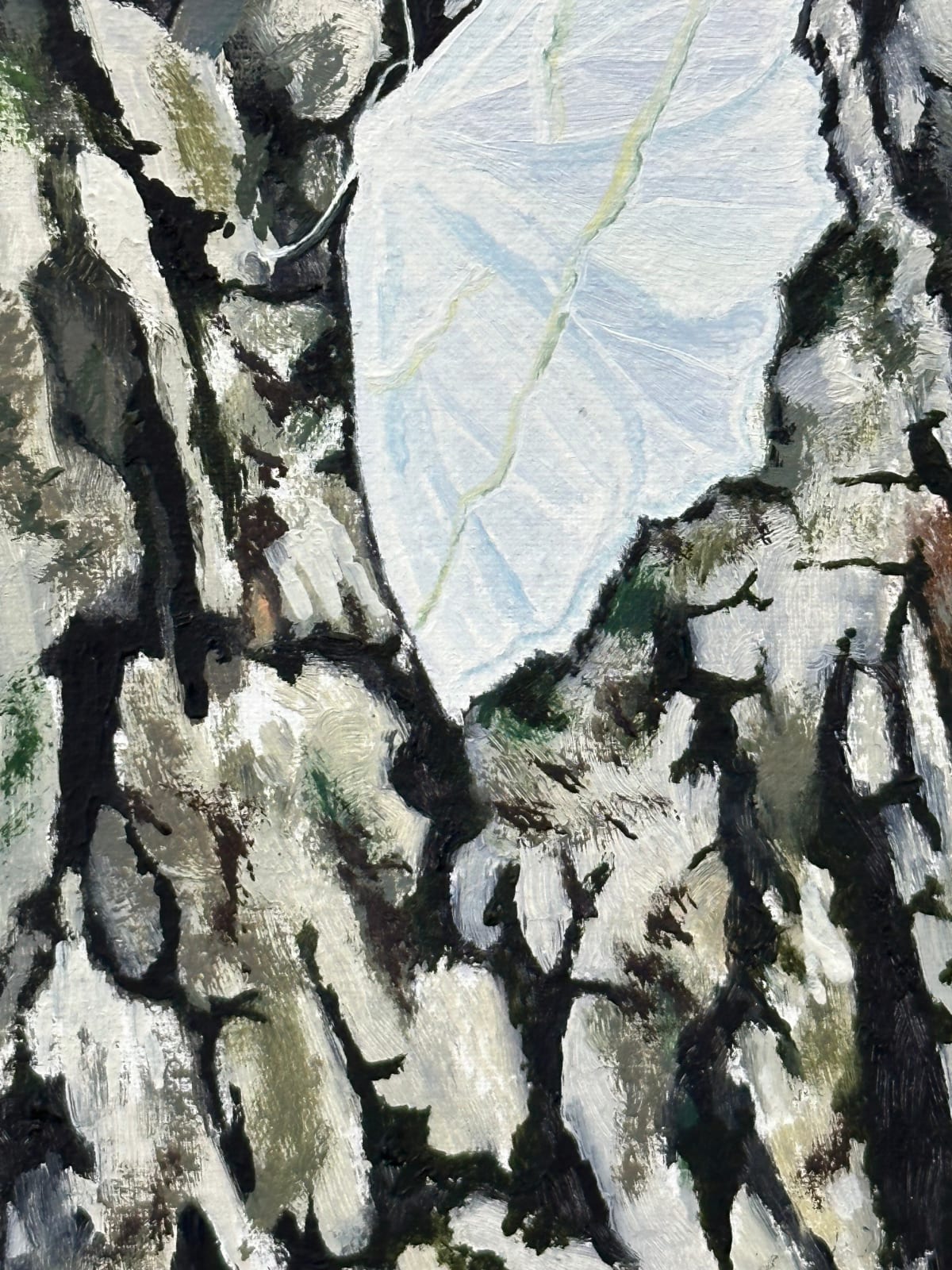 Amanda Acker, Pale Beauty, 2023