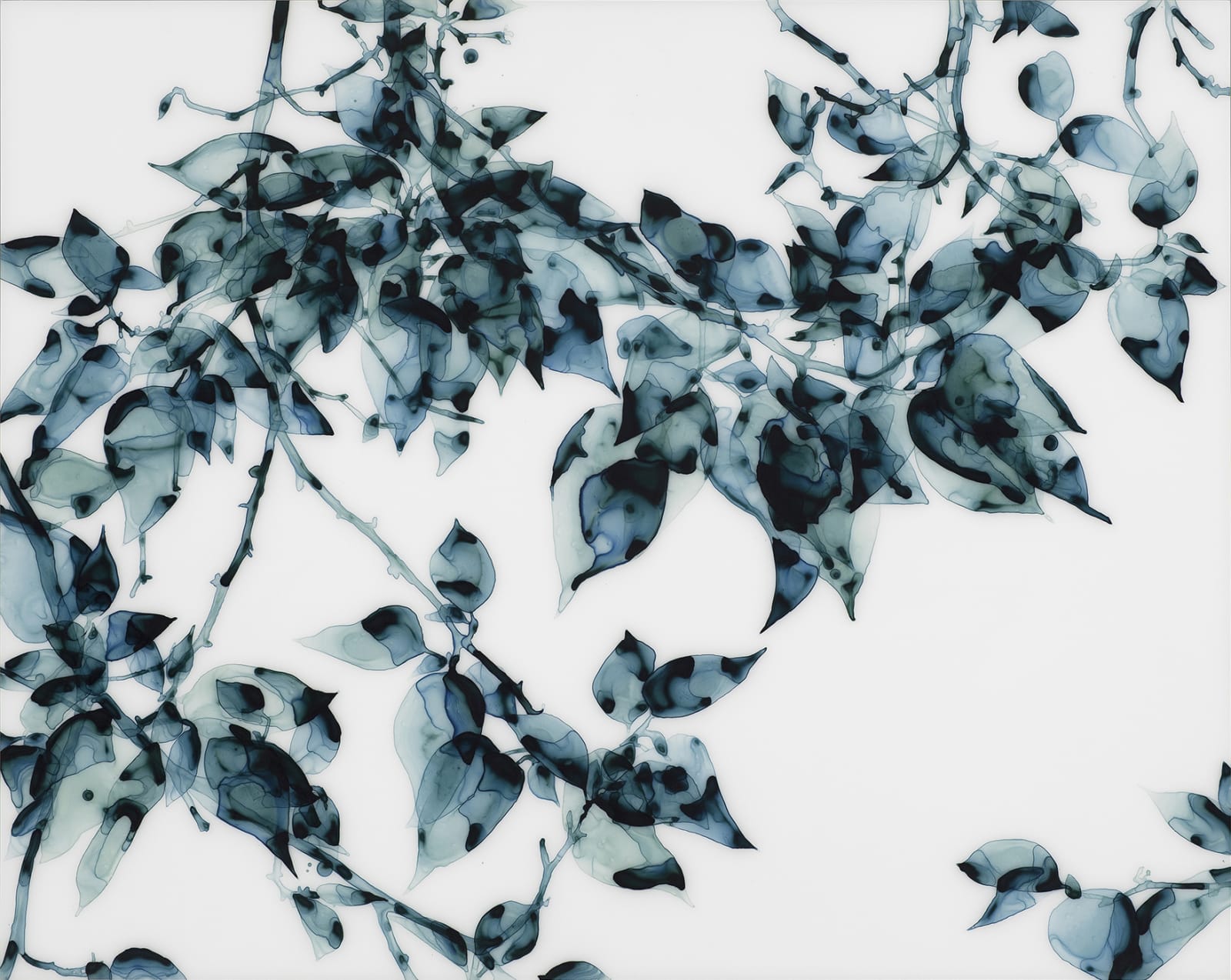 Jackie Battenfield, Hungry Teal, 2012