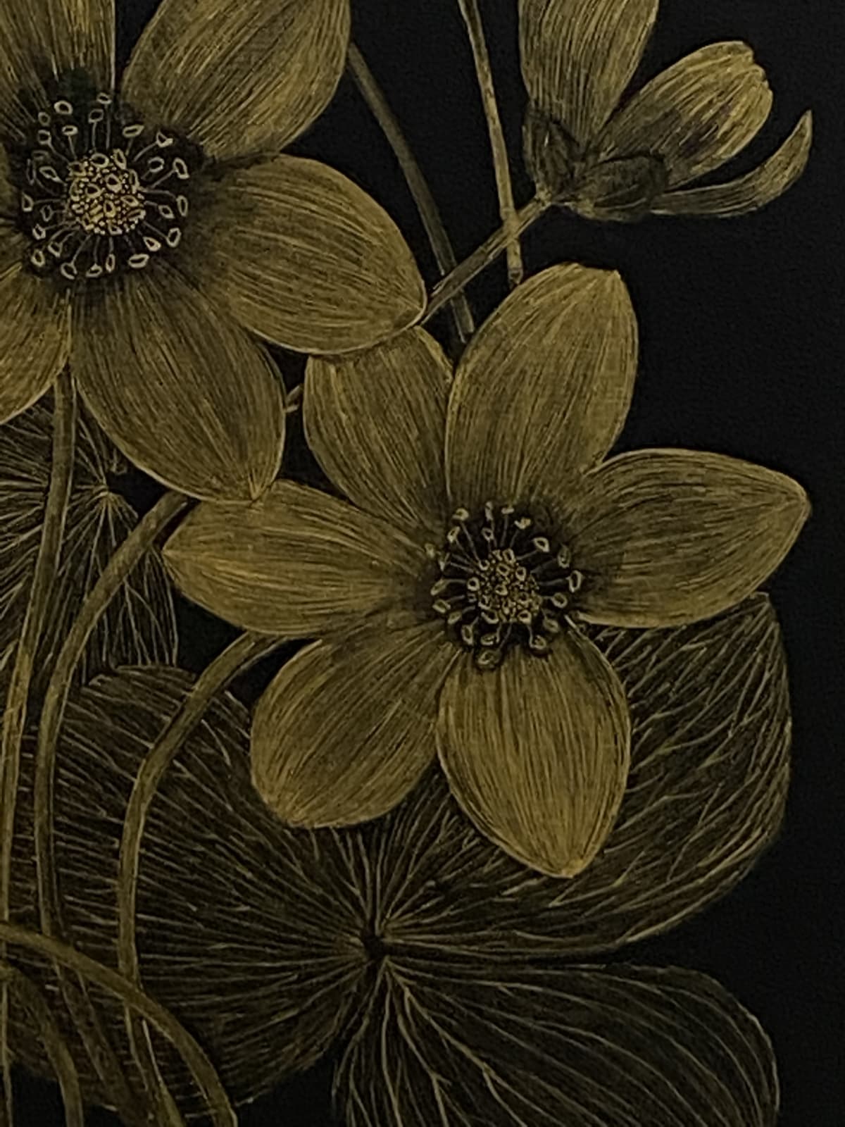 Margot Glass, Anemone 1, 2021