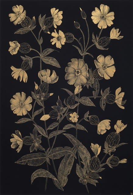 Margot Glass, Large White Campion, 2024