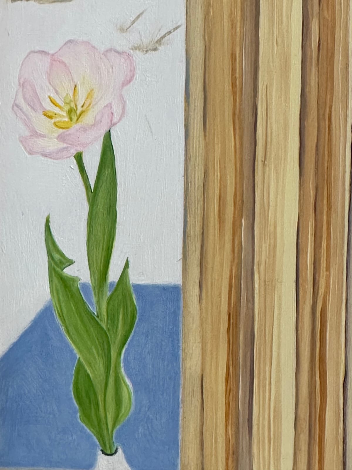 Amanda Acker, Tulips Talking, 2023
