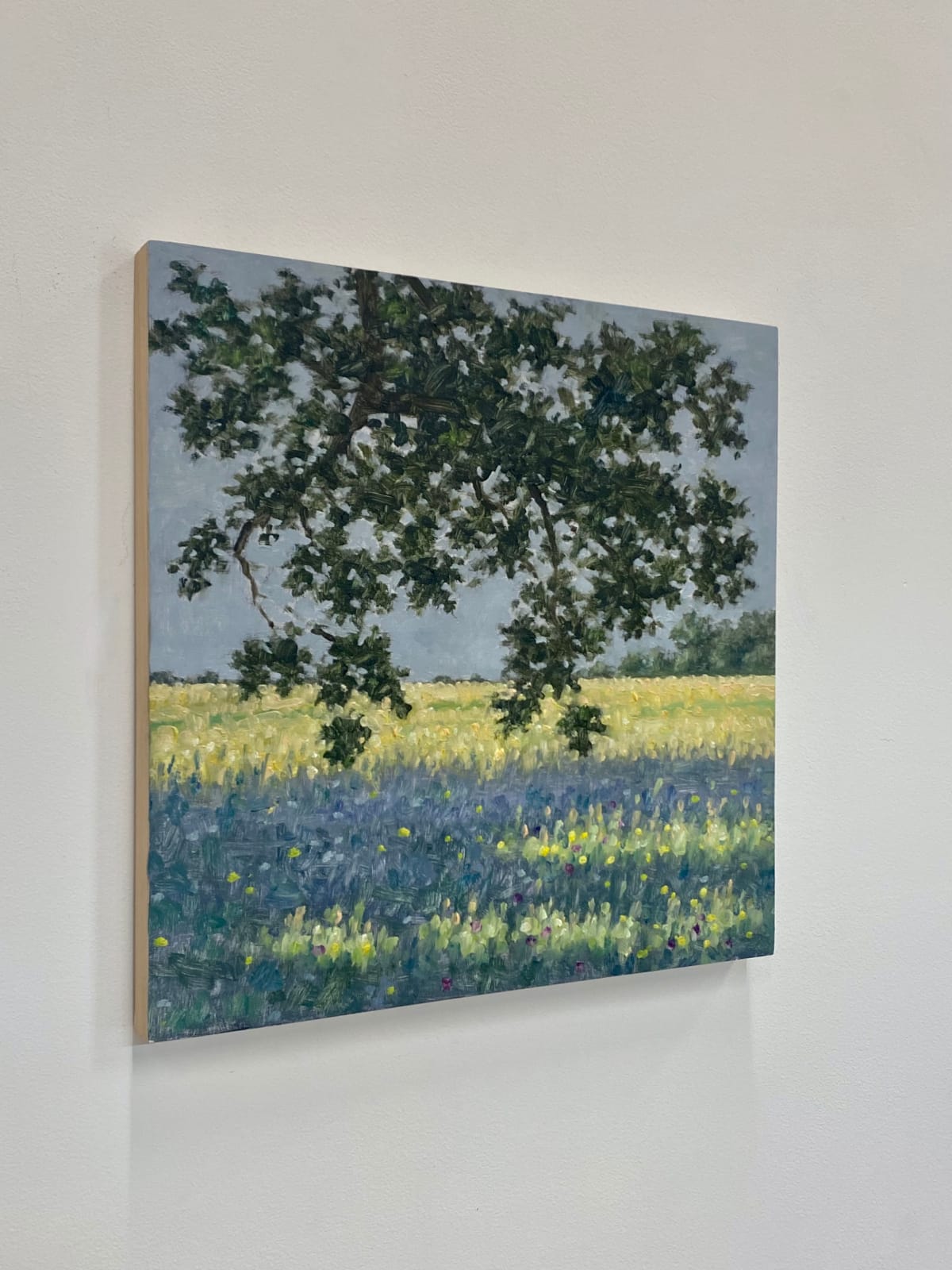 Thomas Sarrantonio, Field Painting June 15, 2022