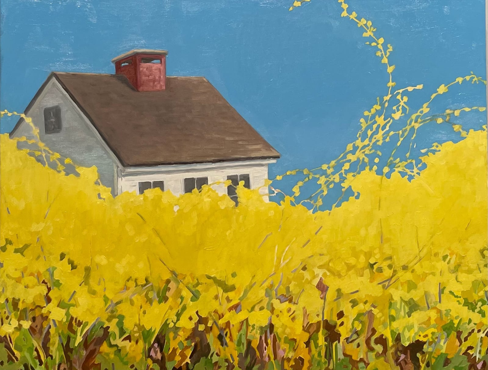 KK Kozik, Forsythia, 2022