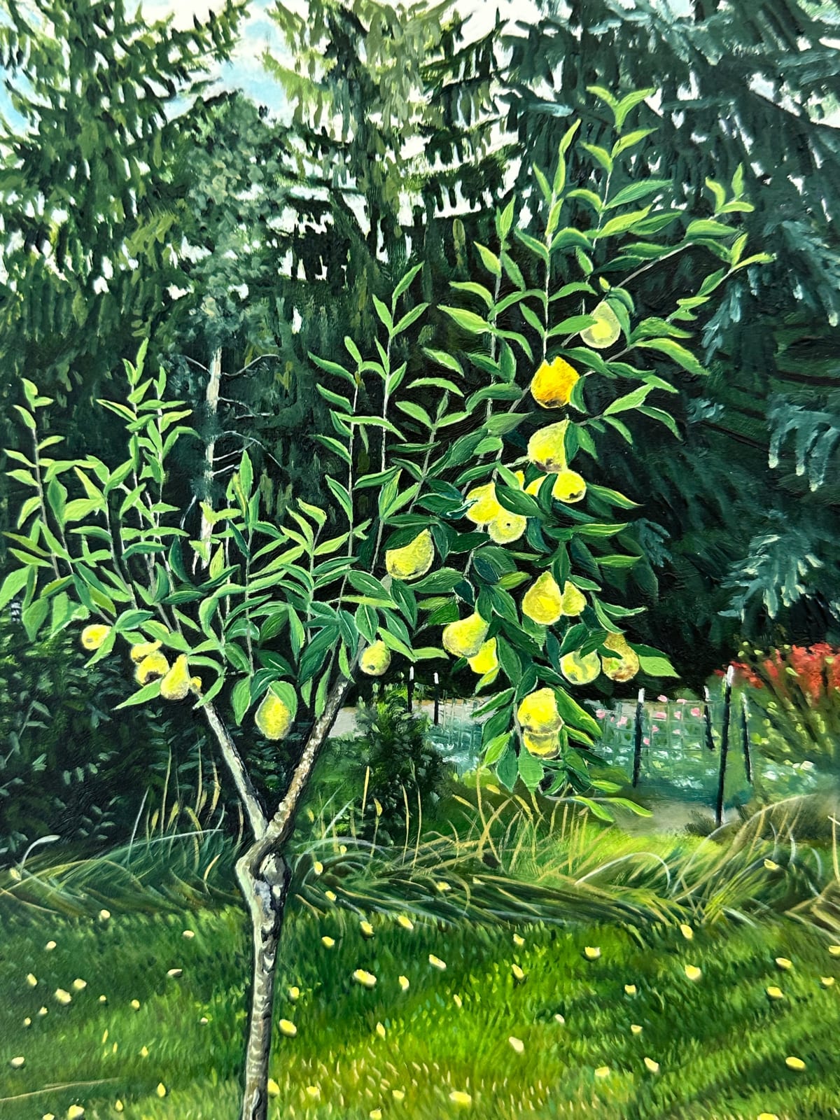 Amanda Acker, Backyard Pear, 2023