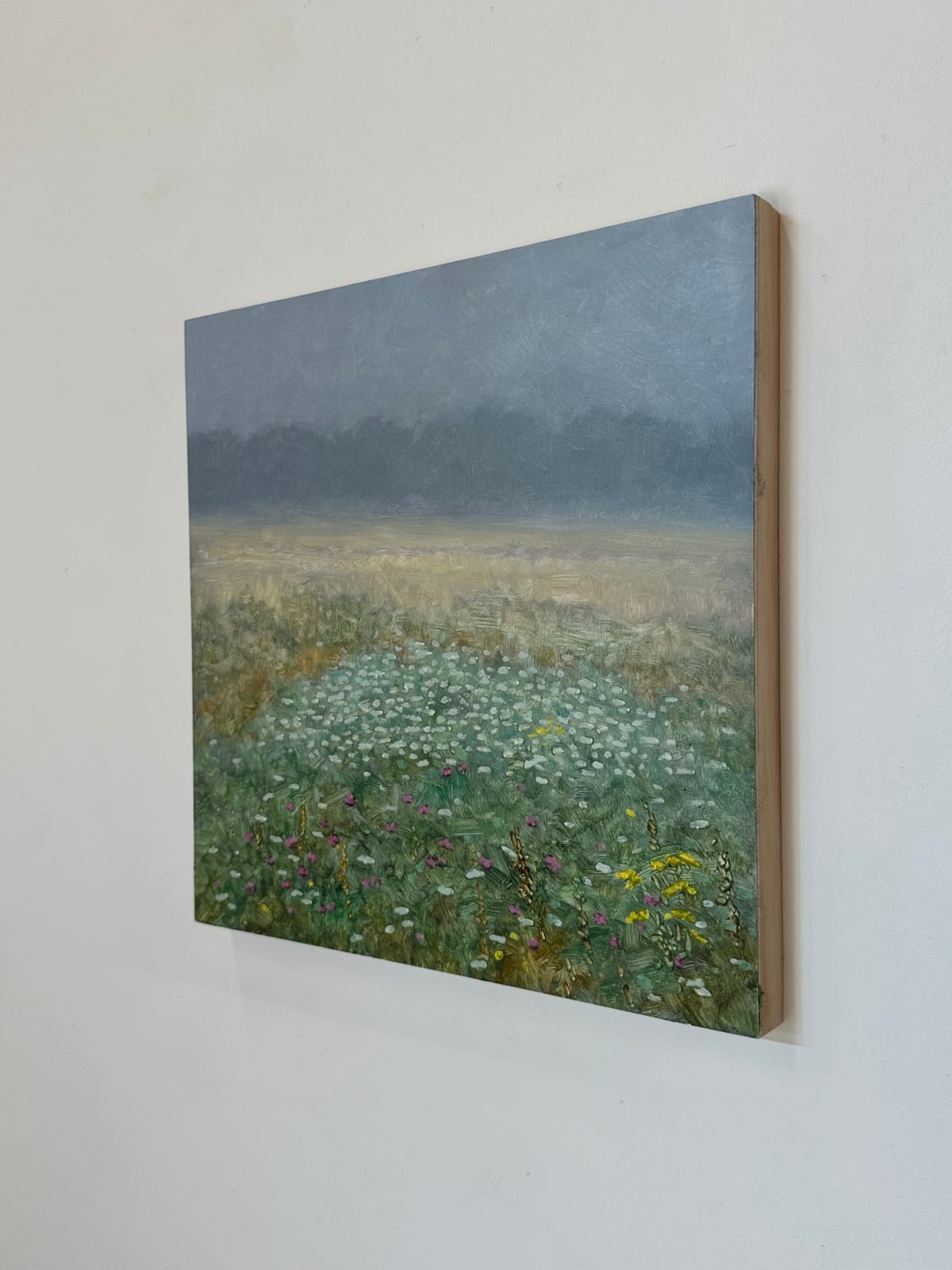 Thomas Sarrantonio, Field Painting August 16, 2024