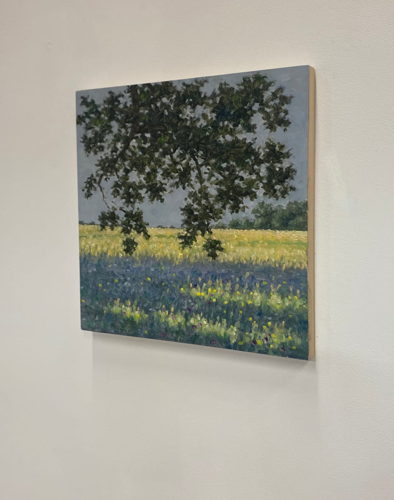 Thomas Sarrantonio, Field Painting June 15, 2022