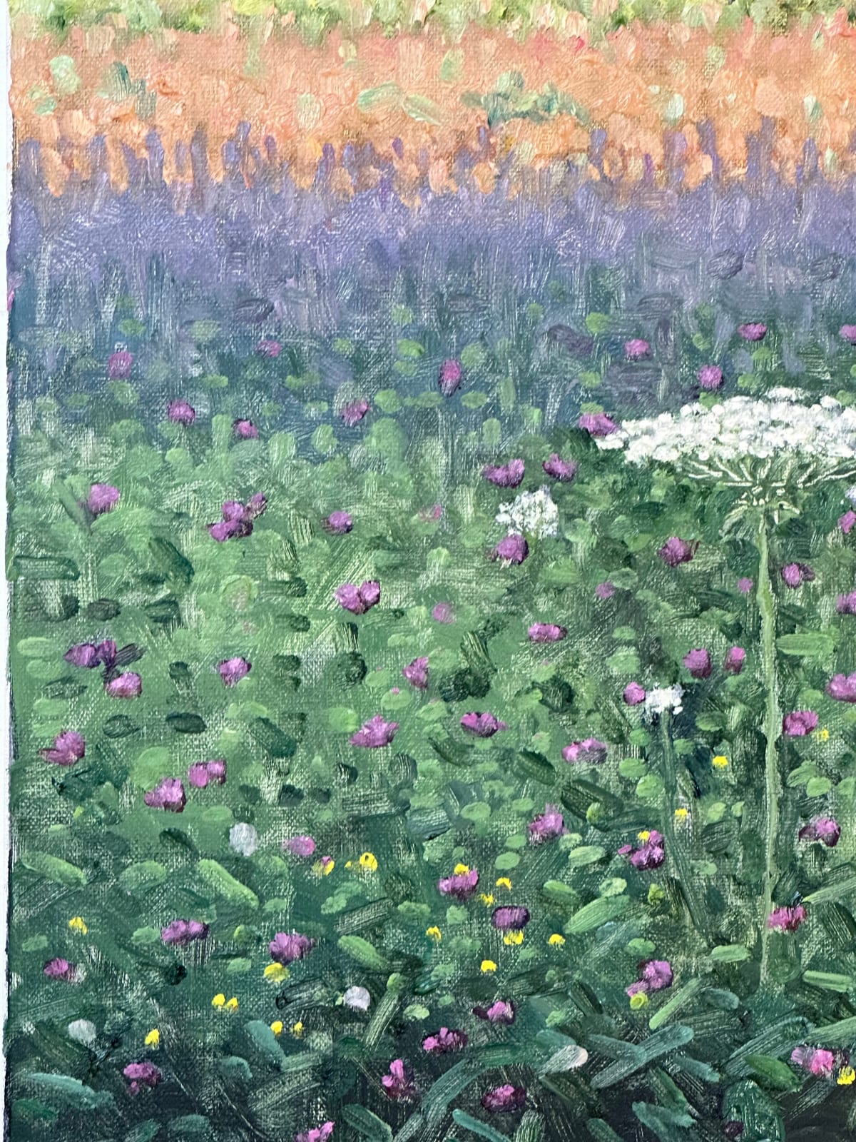 Thomas Sarrantonio, Field Painting August 9, 2023