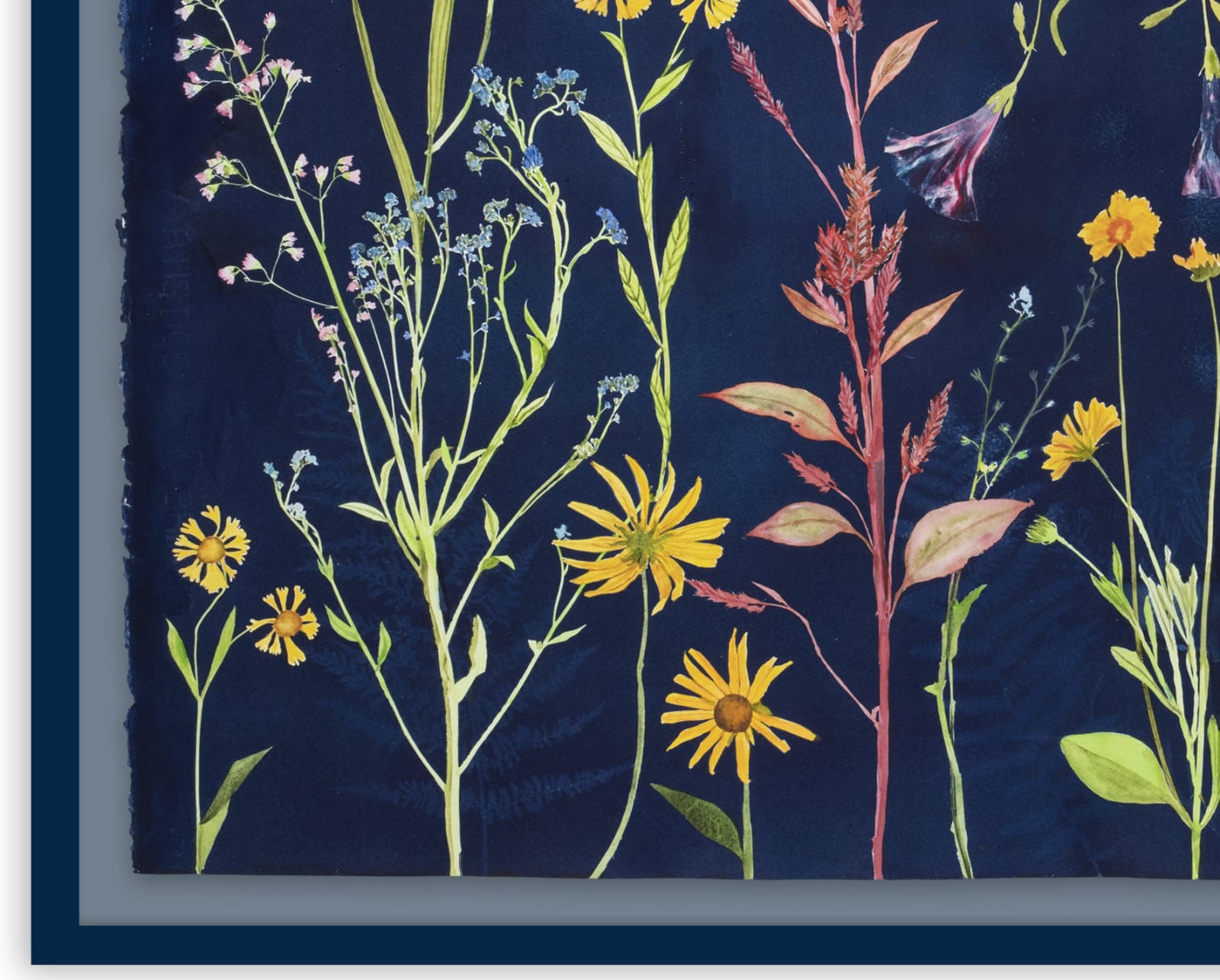 Julia Whitney Barnes, Cyanotype Painting (Morning Glories, Rose of Sharon, Hellenium, Swallowtail, etc.), 2021