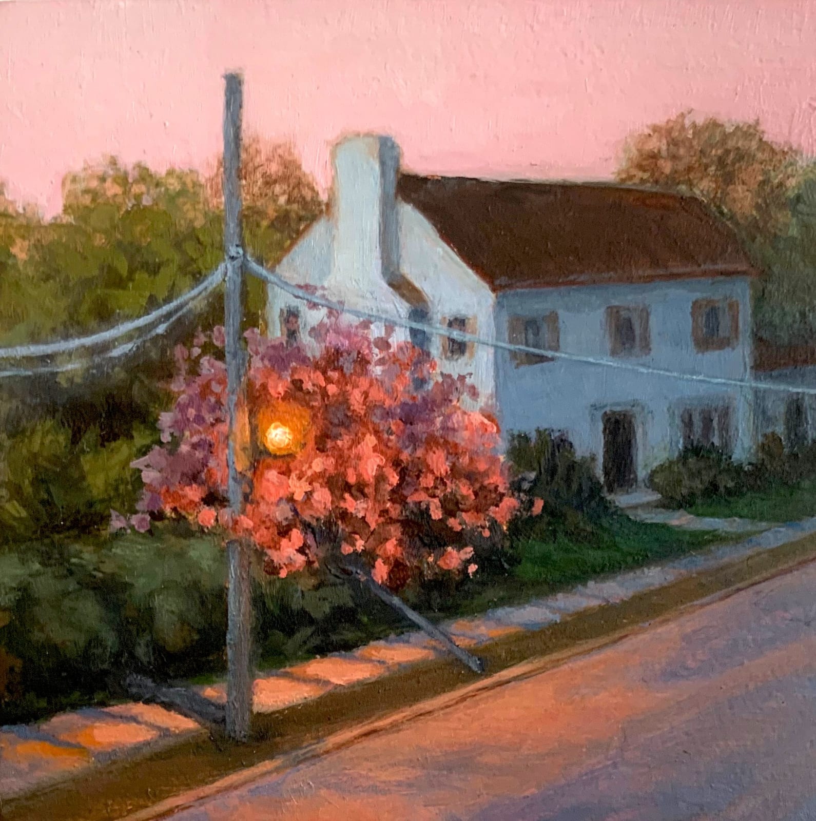 Sally Maca, Fade to Pink, 2019