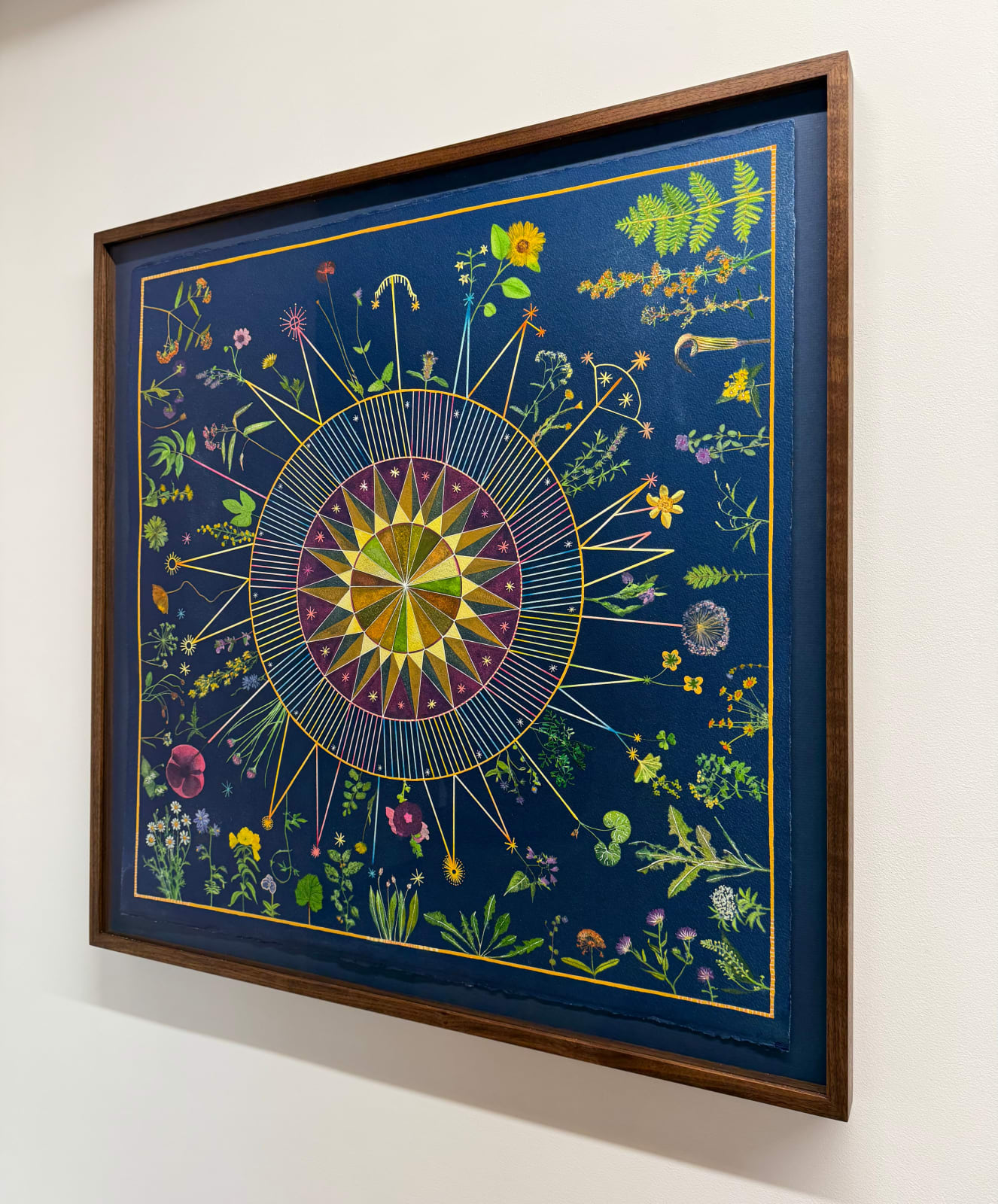 Julia Whitney Barnes, Planting Utopia (Celestial Garden), 2022-'24