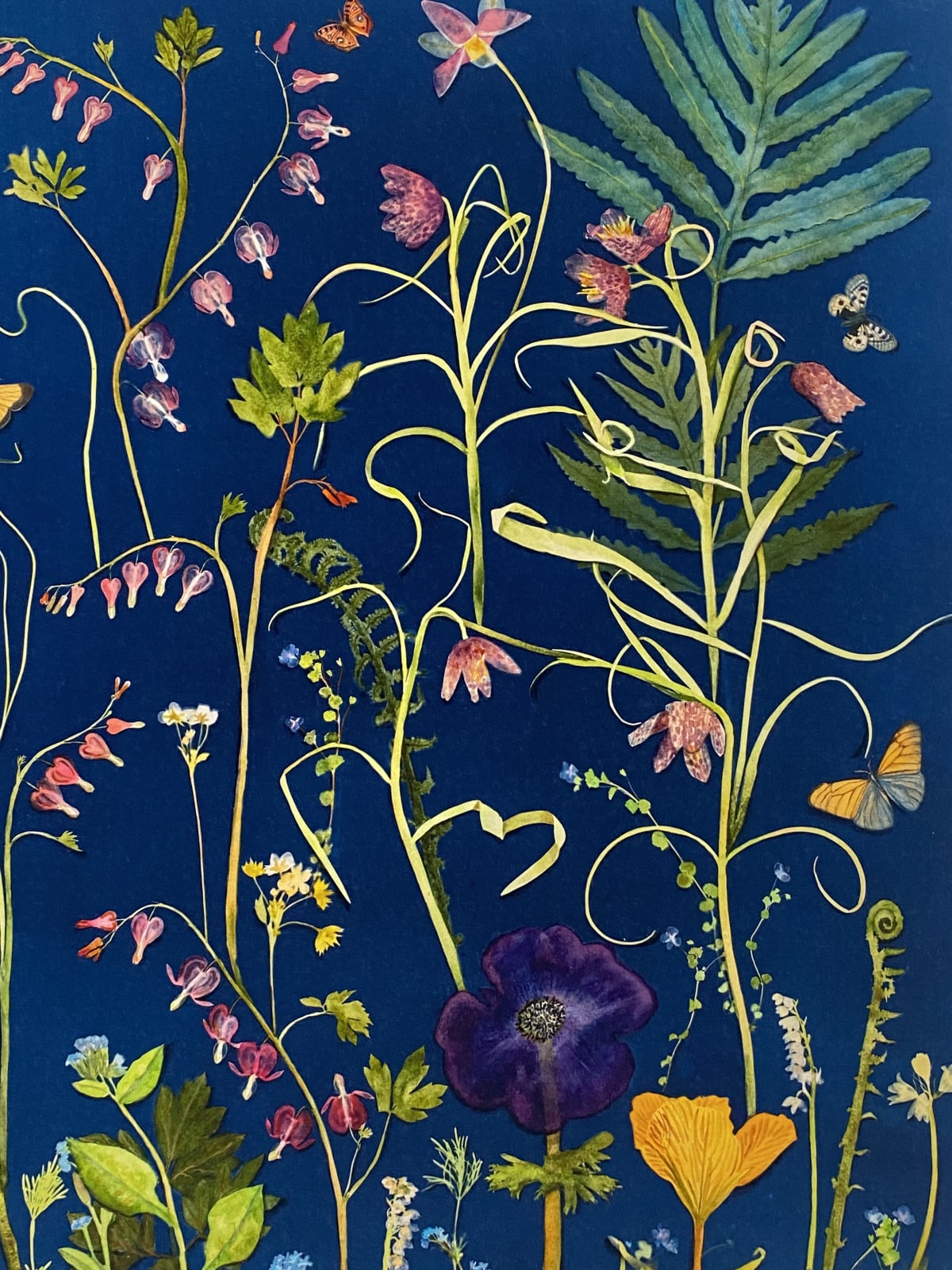 Julia Whitney Barnes, Cyanotype Print (Bleeding Hearts, Fritillaries, Ferns, etc), 2022