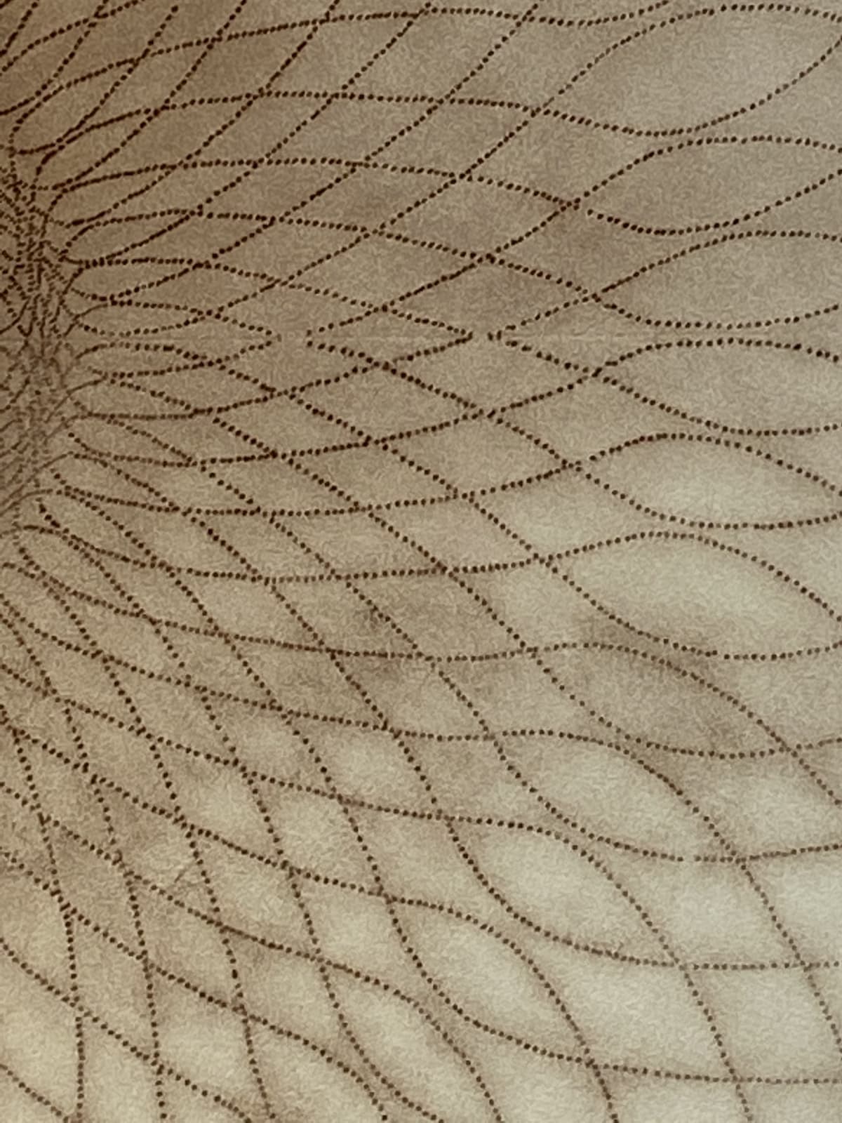 Mary Judge, Exotic Hex Series, 12/3, 2006