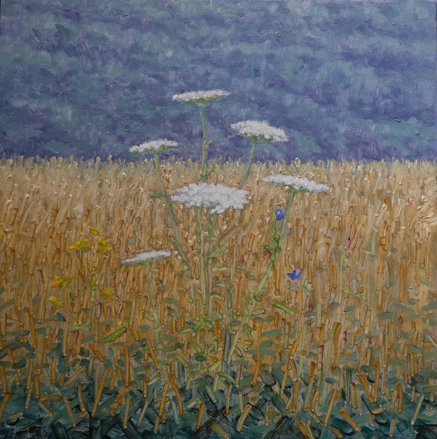 Thomas Sarrantonio, Field Painting July 15, 2024
