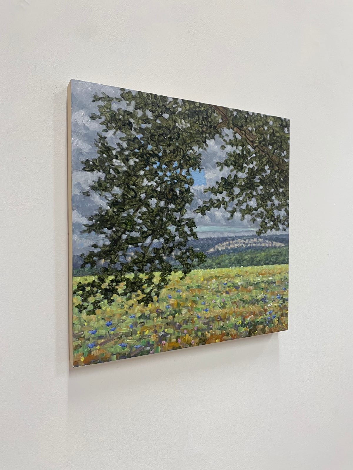 Thomas Sarrantonio, Field Painting July 19, 2021