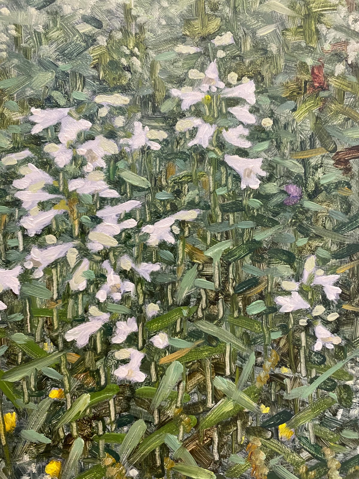 Thomas Sarrantonio, Field Painting June 11, 2021
