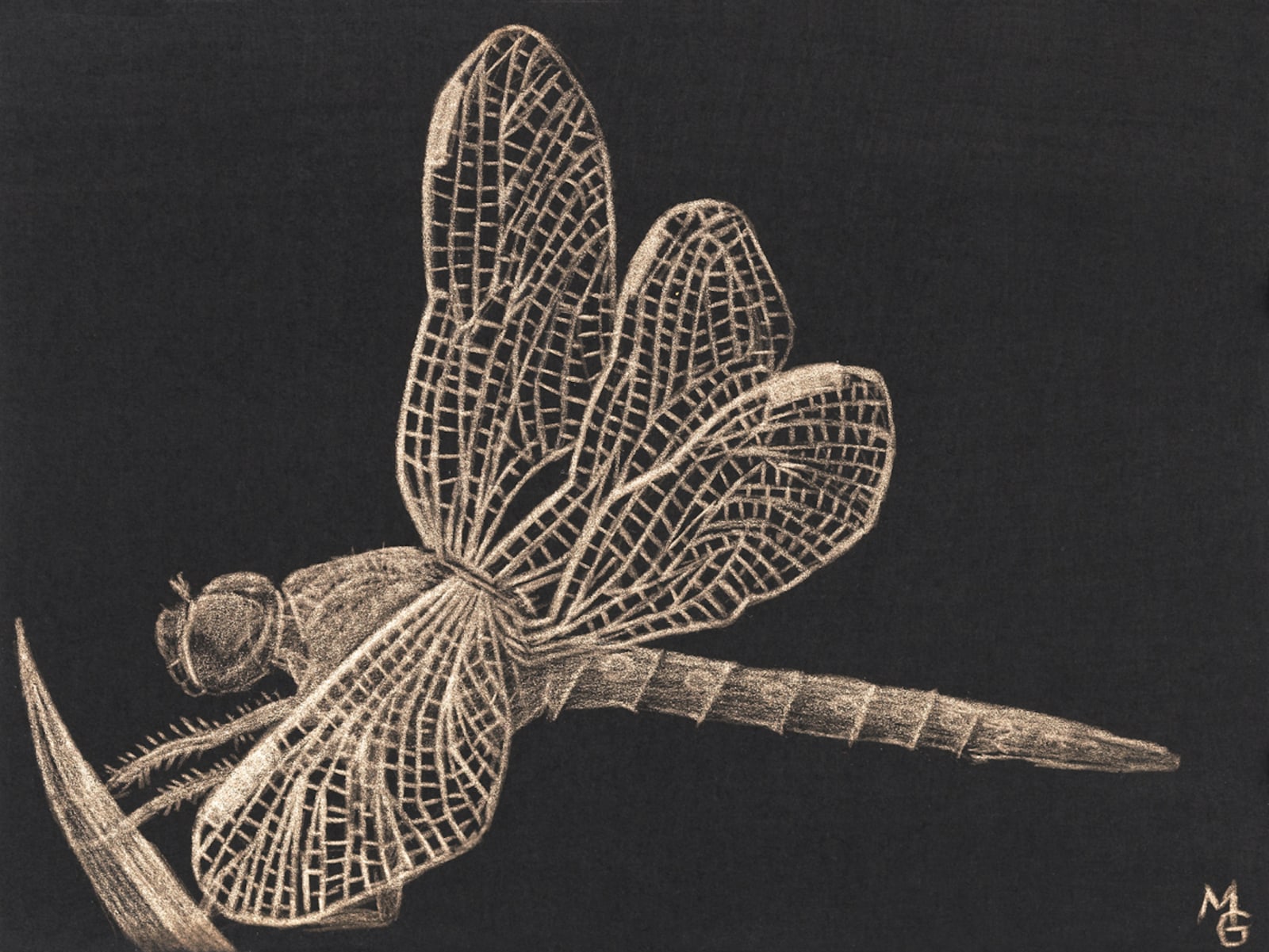 Margot Glass, Dragonfly, 2020