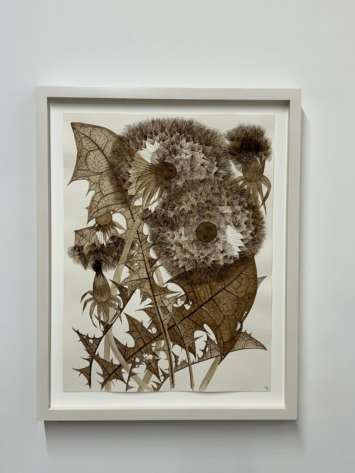 Margot Glass, Three Dandelions with Buds, 2024