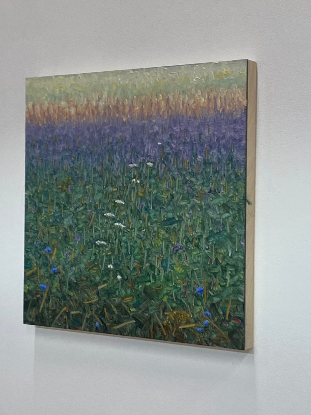 Thomas Sarrantonio, Field Painting August 3, 2022
