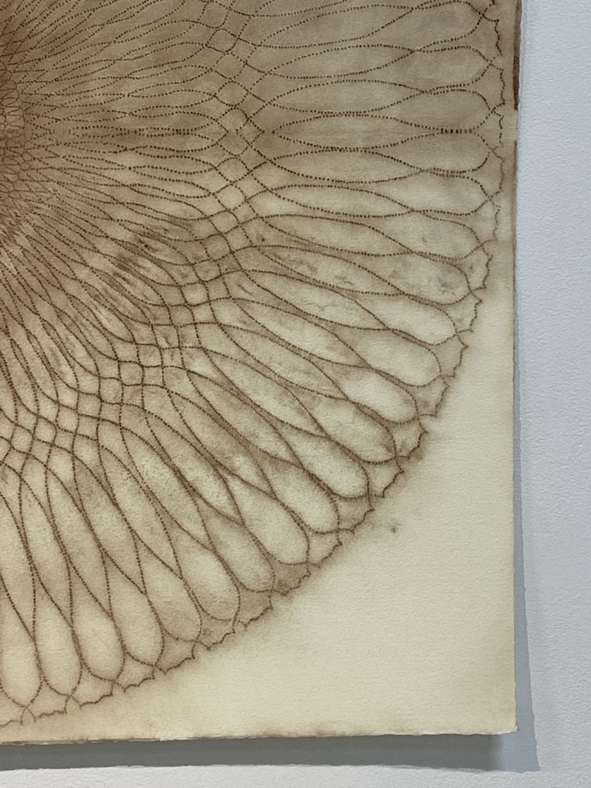Mary Judge, Circle Series 30/1, 2006