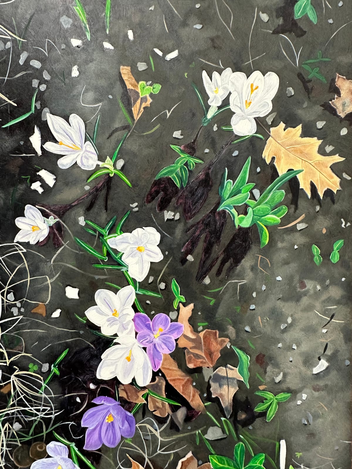 Amanda Acker, Crocus Spoke, 2023