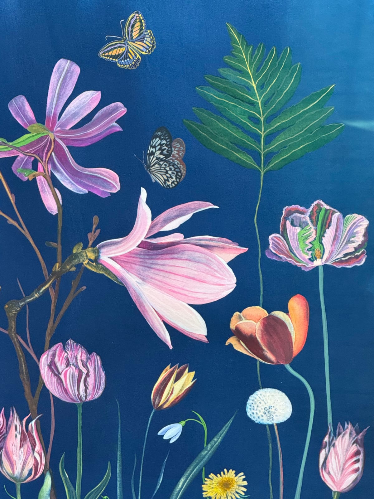 Julia Whitney Barnes, Picturesque Botany (Tulip, Magnolia, Dogwood, Foxglove, Crocus, Pollinators, etc.), 2025
