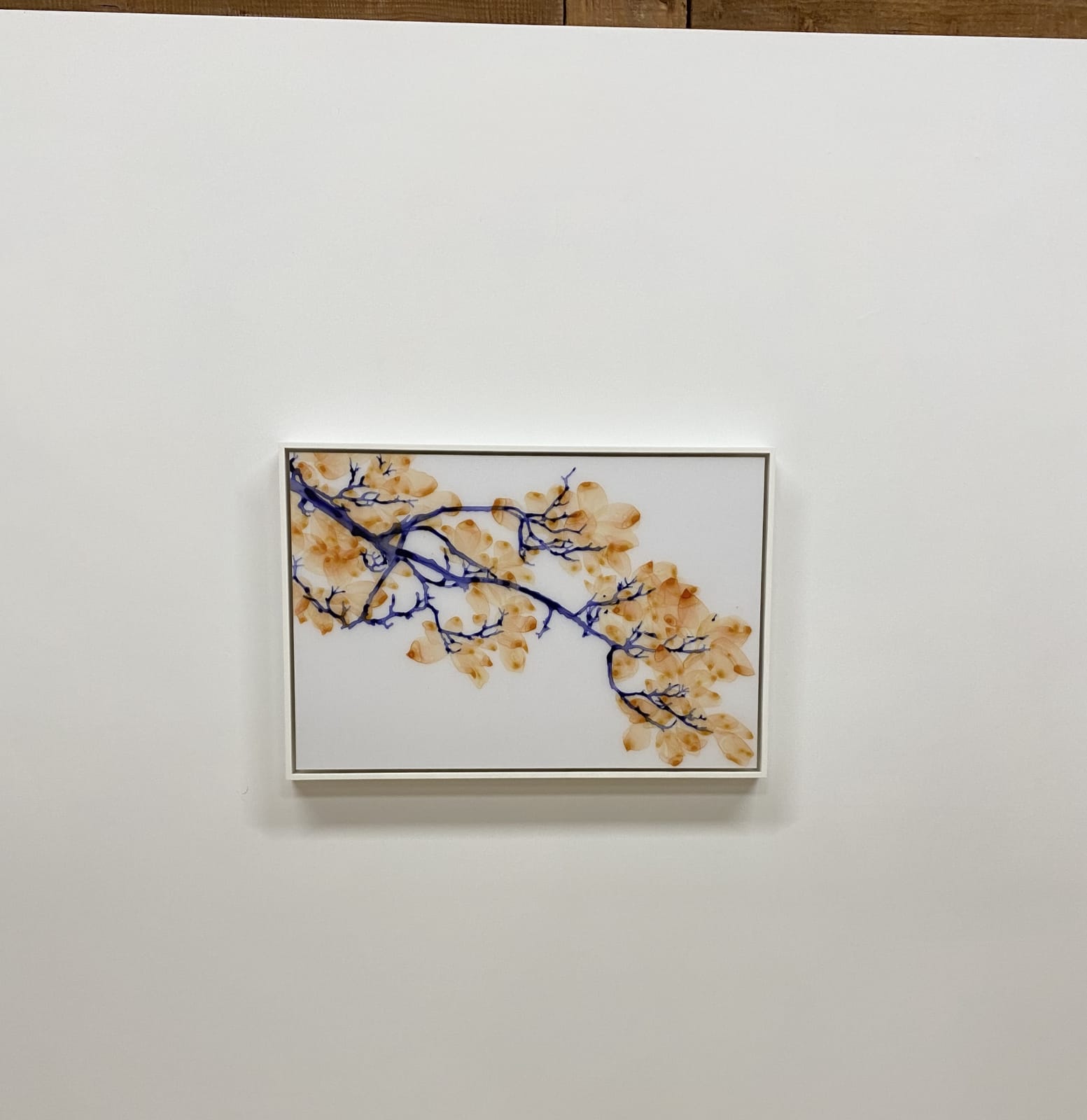 Jackie Battenfield, Hot Wind cs2, 2020