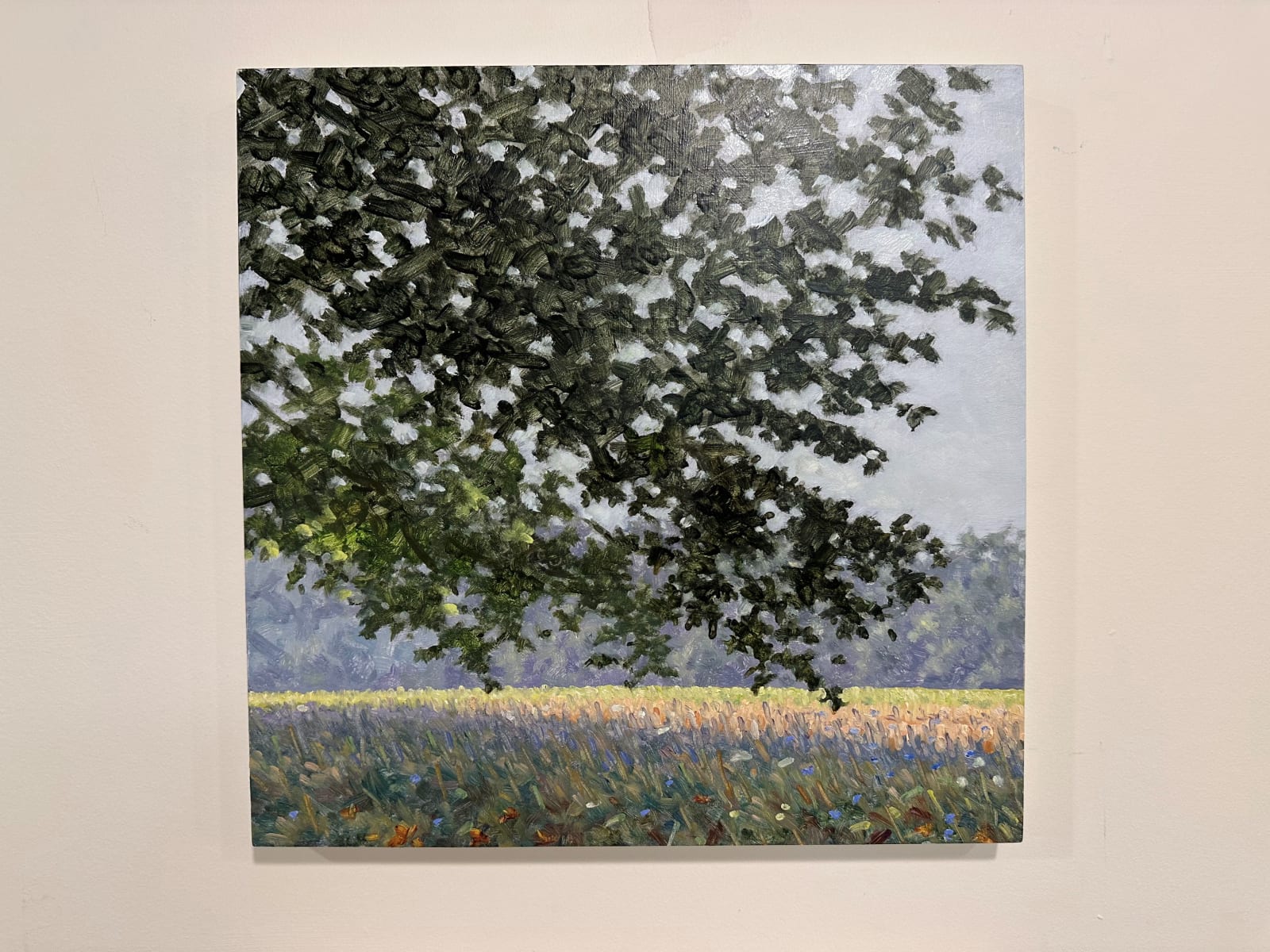 Thomas Sarrantonio, Field Study August 24, 2020