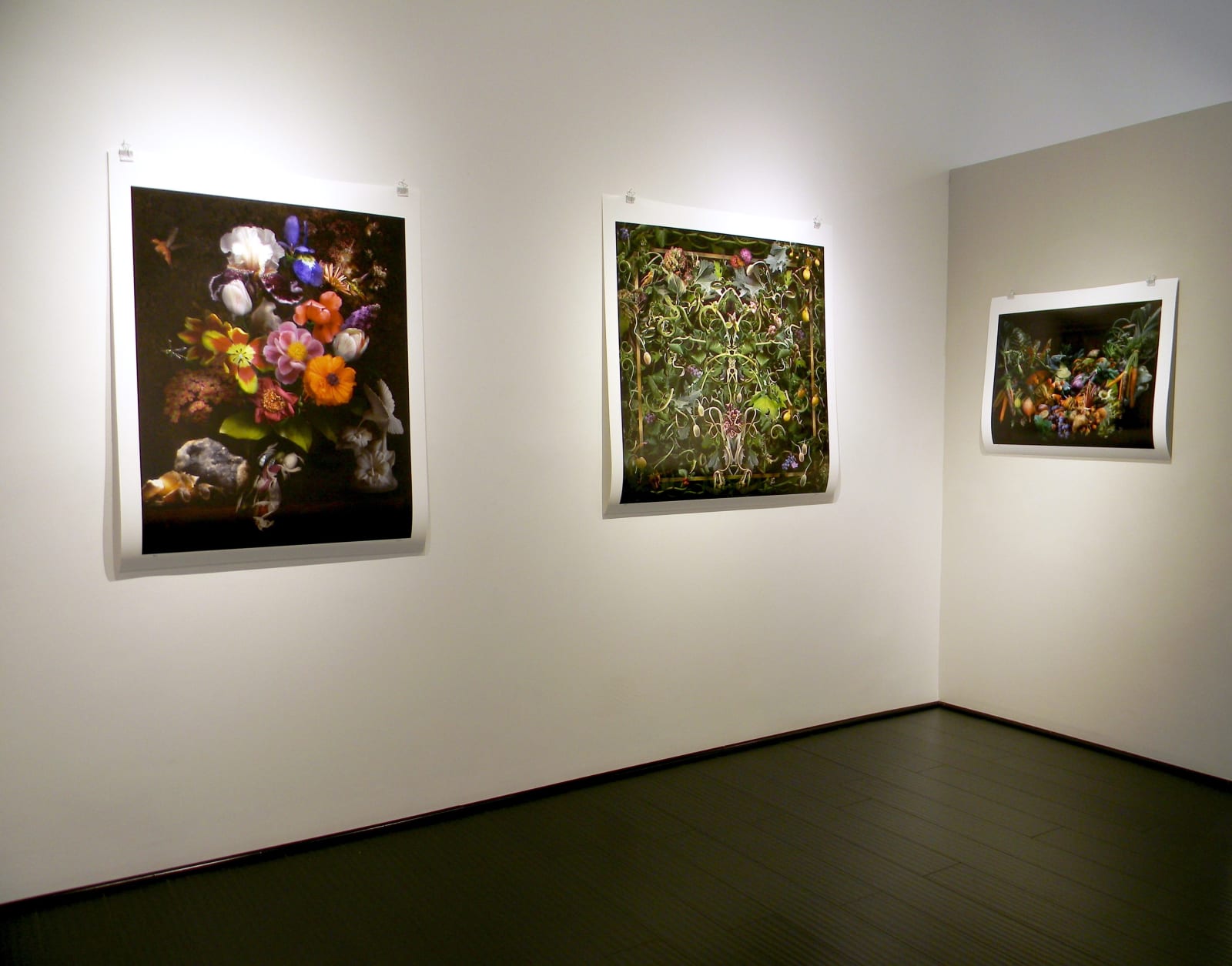 Lisa A. Frank, Feared, Loved, 2013