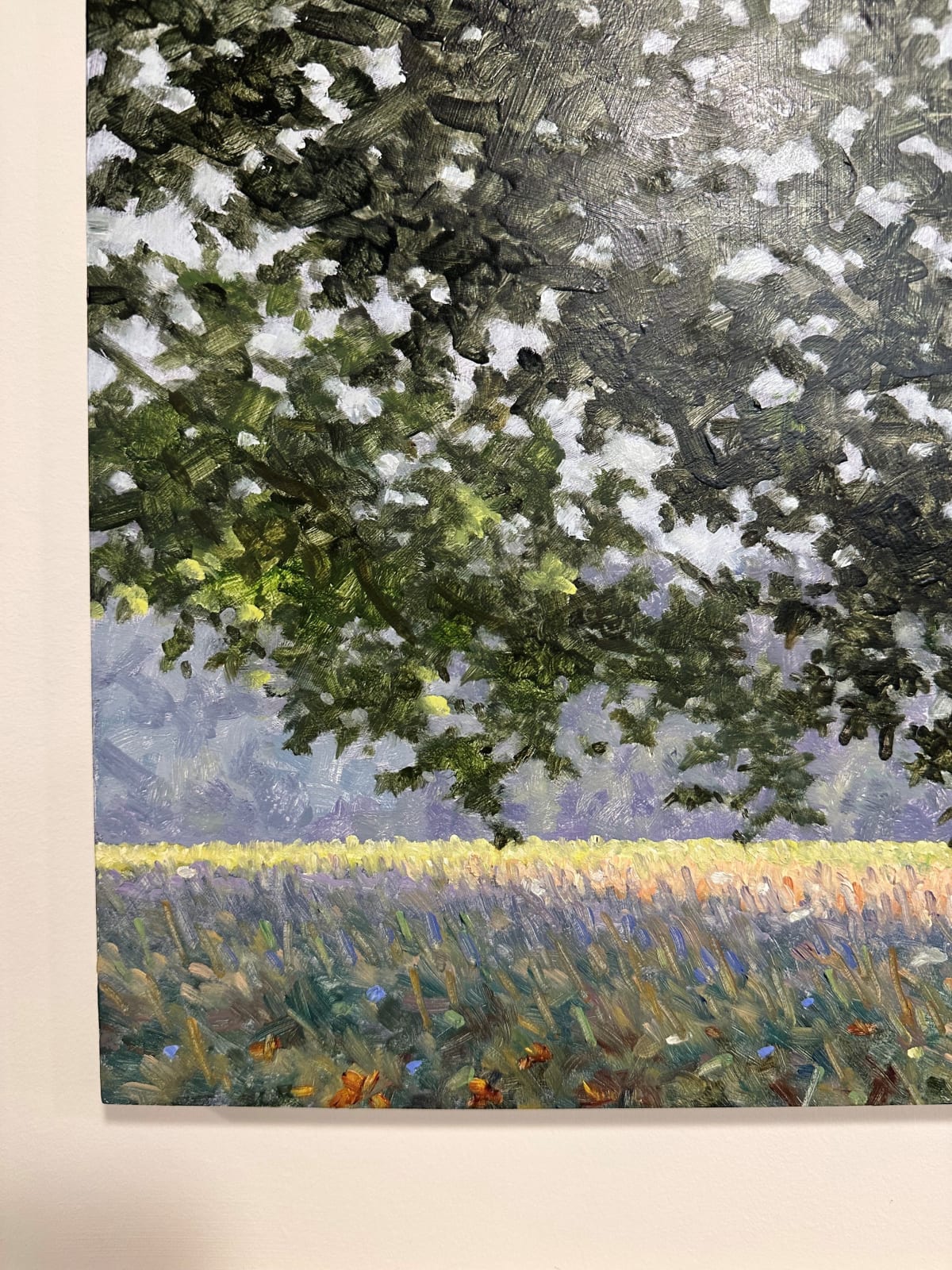 Thomas Sarrantonio, Field Study August 24, 2020