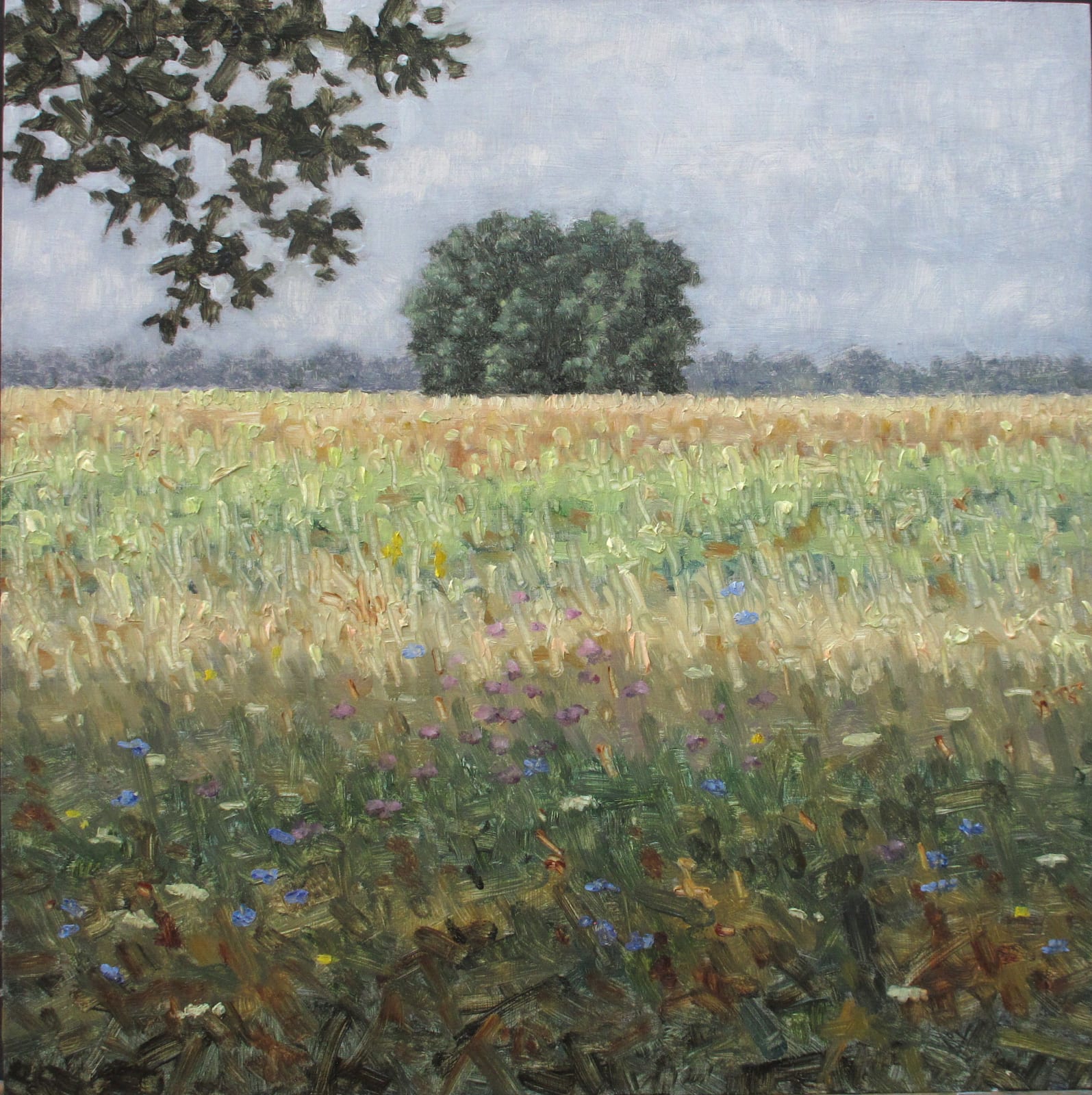 Thomas Sarrantonio, Field Study July 31, 2020, 2020