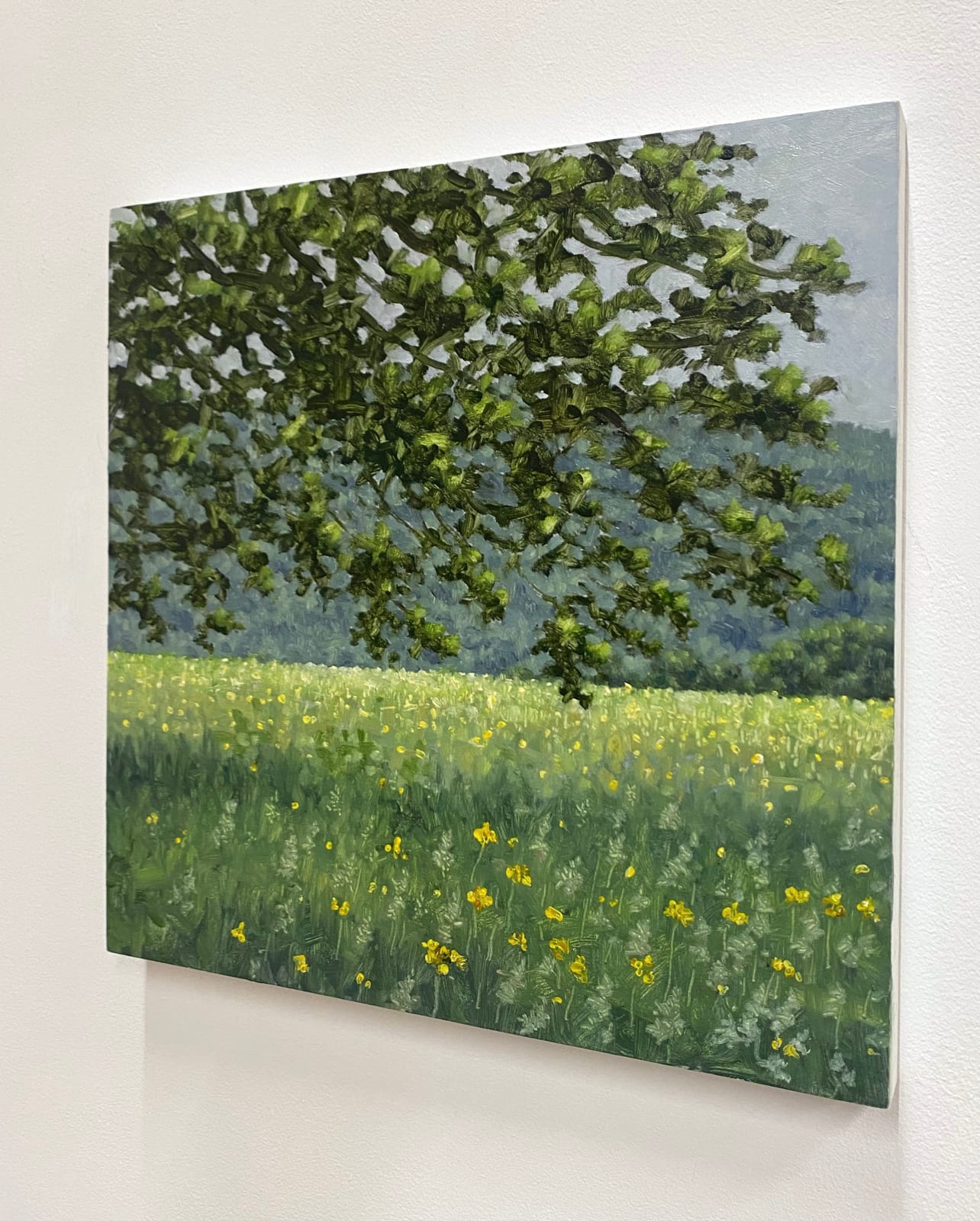 Thomas Sarrantonio, Field Painting June 4, 2021