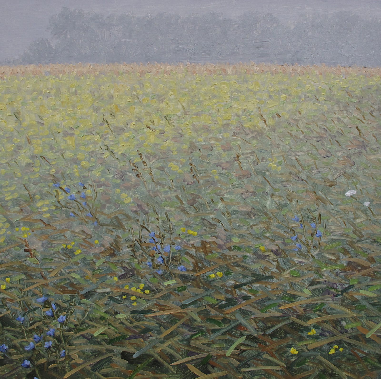 Thomas Sarrantonio, Translation, 2017