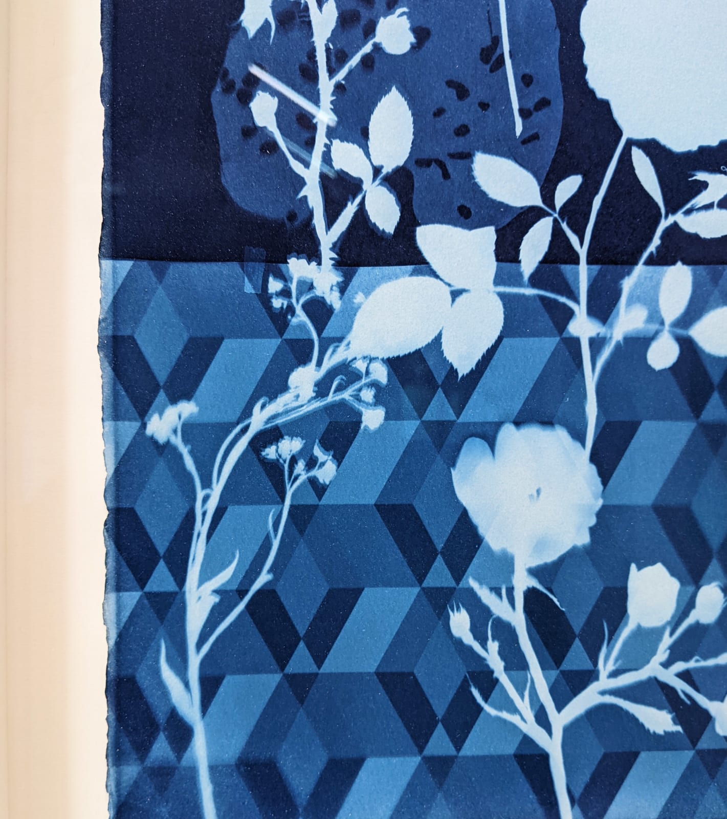 Julia Whitney Barnes, Cyanotype Painting (Anemones, Rose of Sharon, Queen Anne's Lace, Floor Pattern), 2021