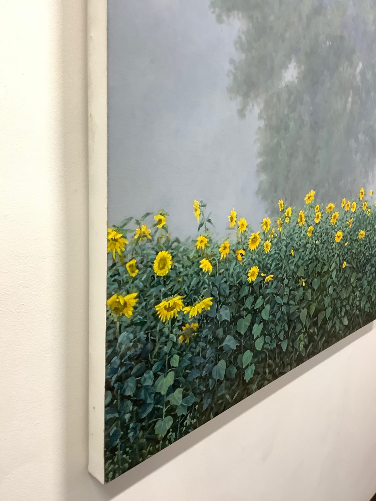 Thomas Sarrantonio, Visibility, 2019