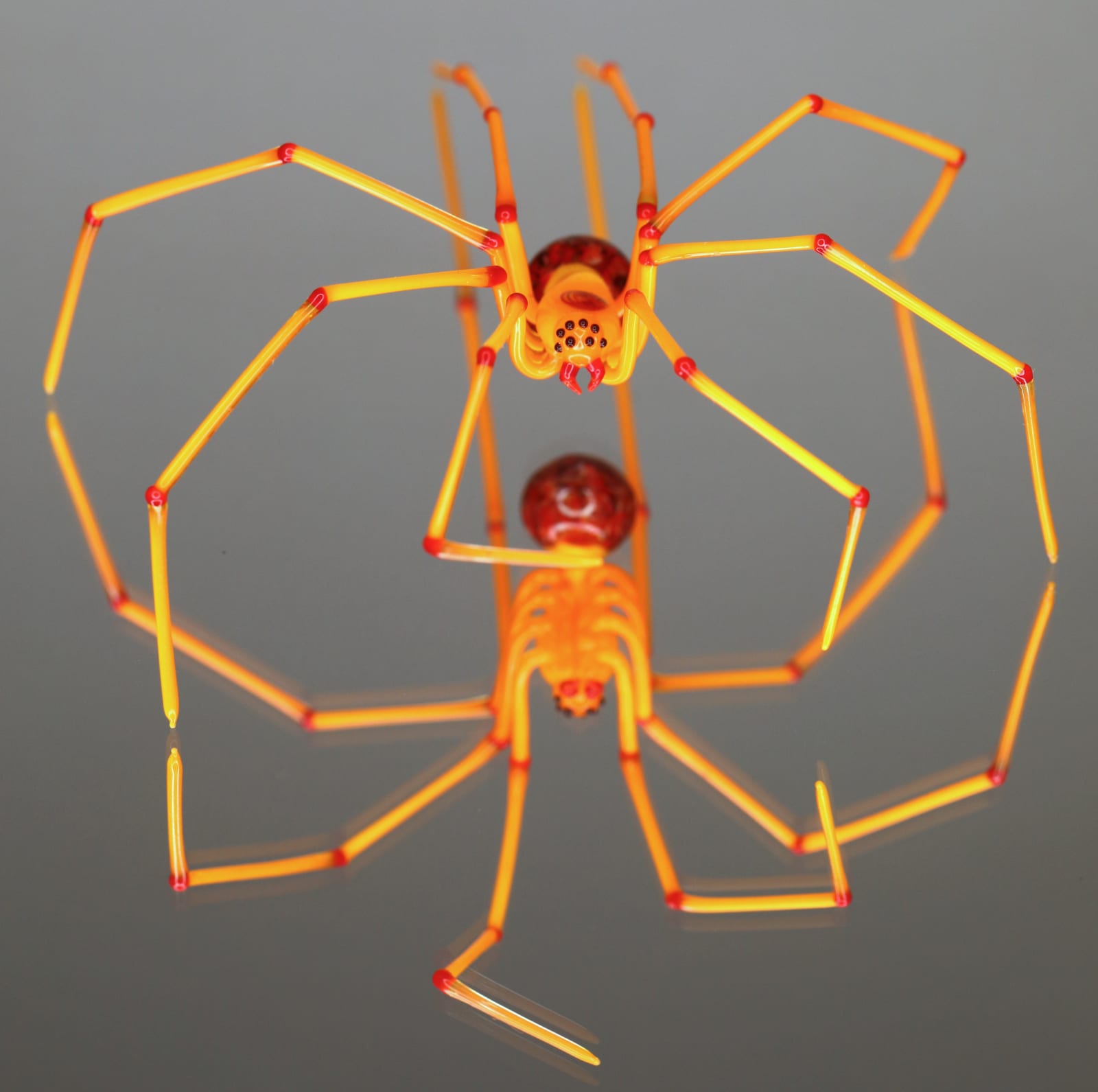 Elijah Schwartz, Orange Spider Red Stip, 2020