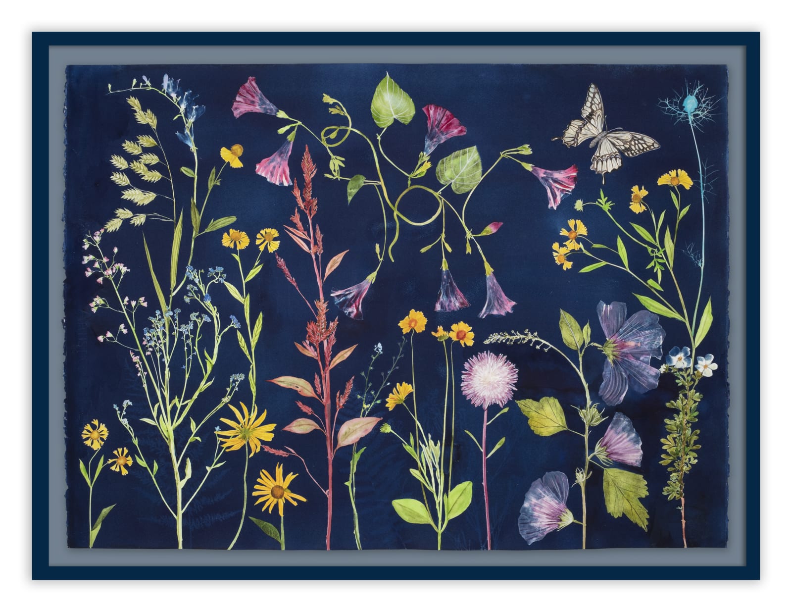 Julia Whitney Barnes, Cyanotype Painting (Morning Glories, Rose of Sharon, Hellenium, Swallowtail, etc.), 2021