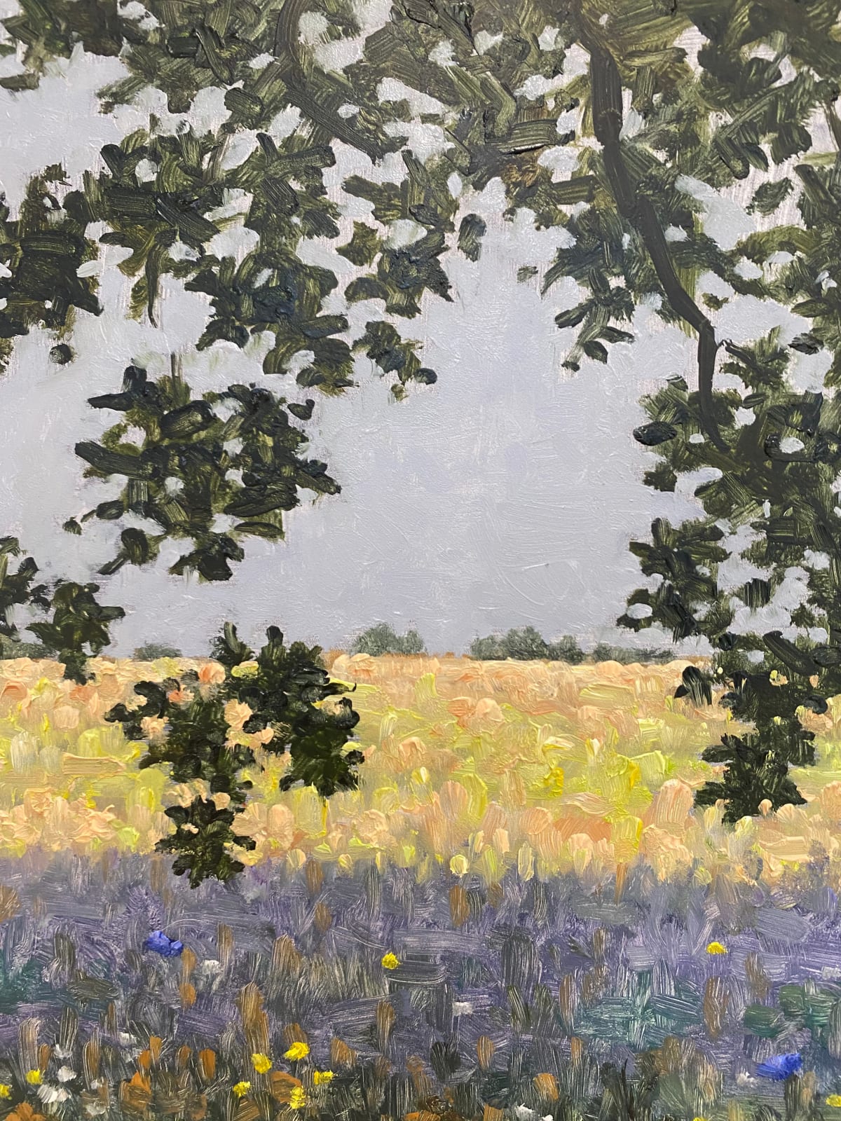 Thomas Sarrantonio, Field Painting July 1, 2022