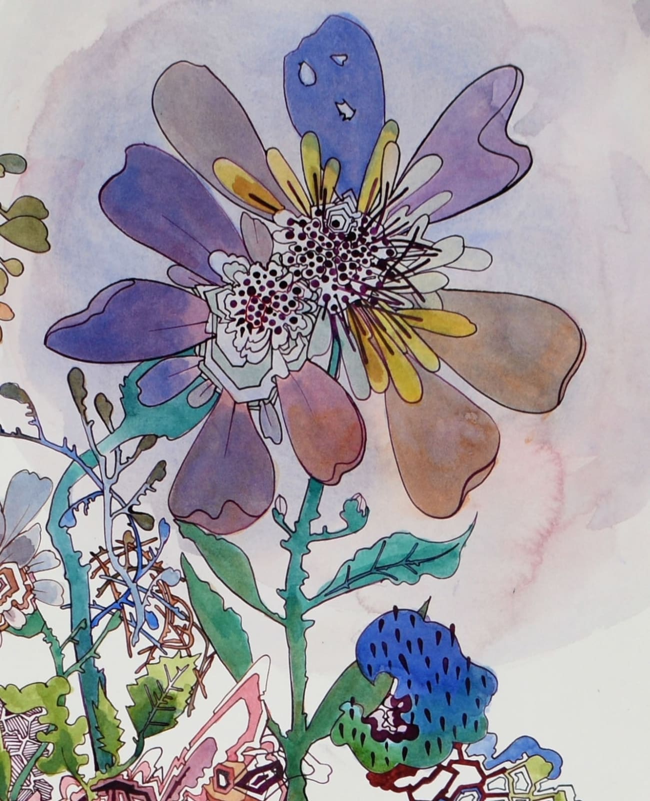 Sarah Morejohn, Transmitter, 2024