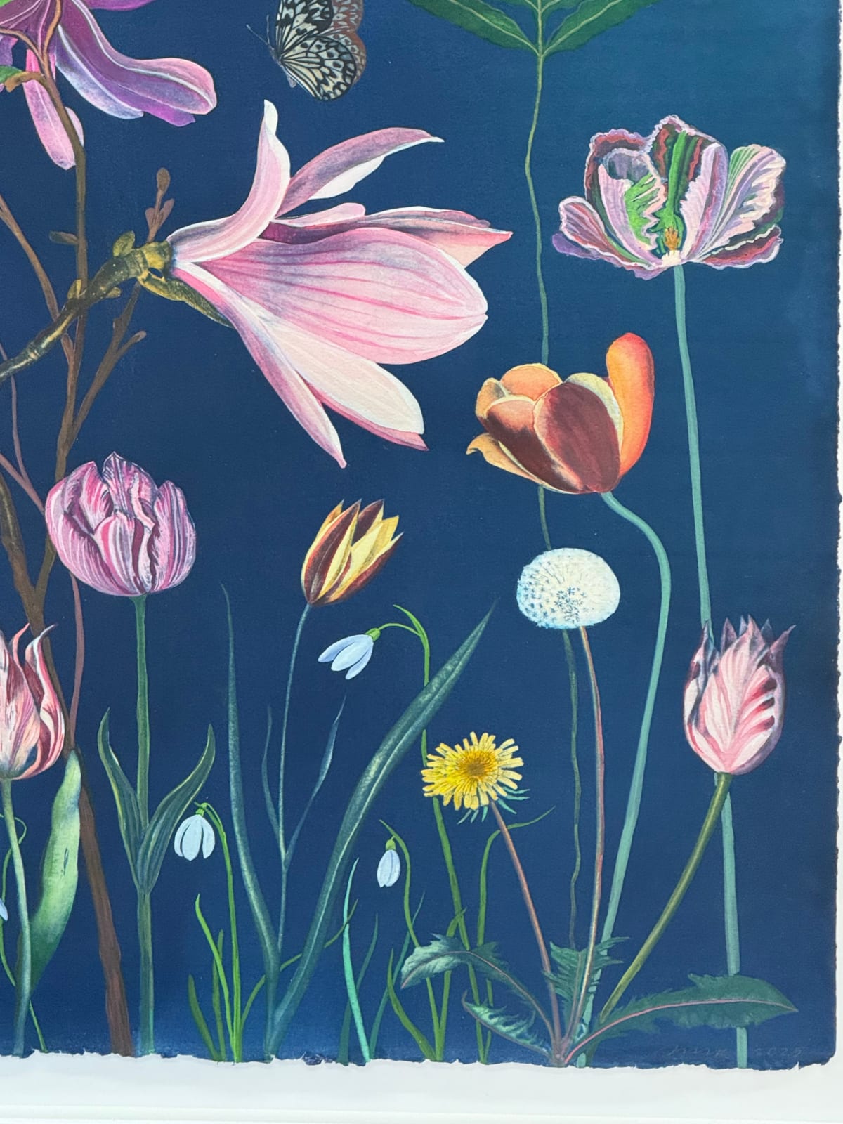 Julia Whitney Barnes, Picturesque Botany (Tulip, Magnolia, Dogwood, Foxglove, Crocus, Pollinators, etc.), 2025