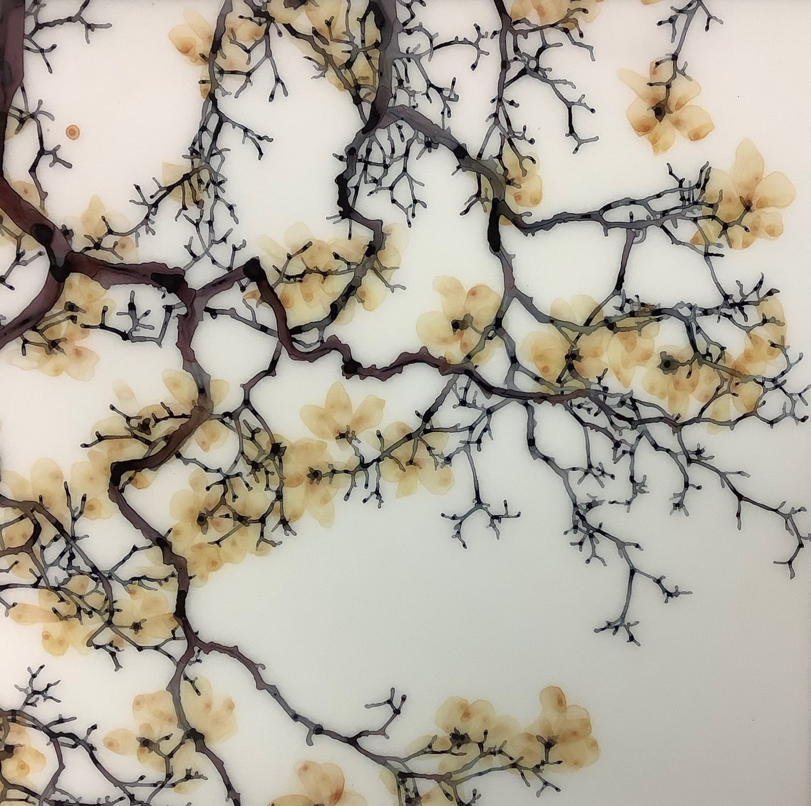 Jackie Battenfield, Flaxen Blossom, 2019