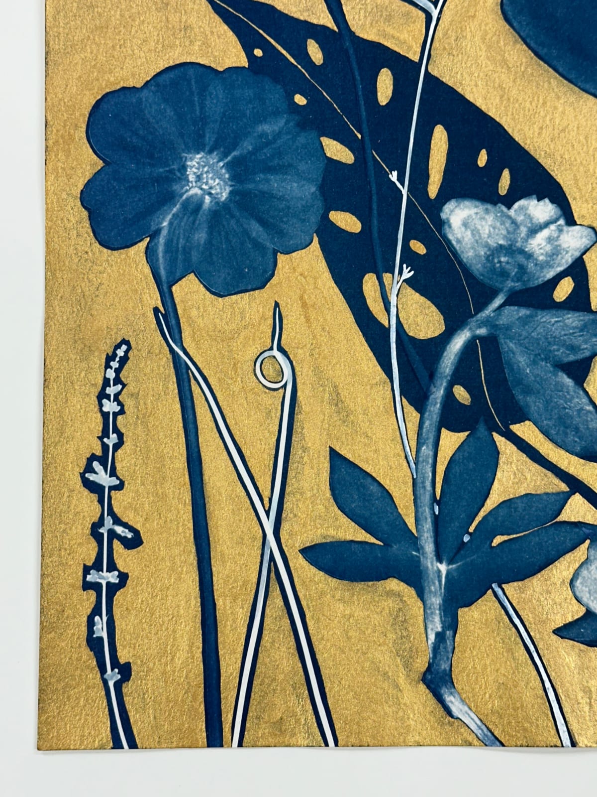 Julia Whitney Barnes, Gold Flora/Shadows (Magnolia, Cornflower, Monstera, etc.), 2023-'24