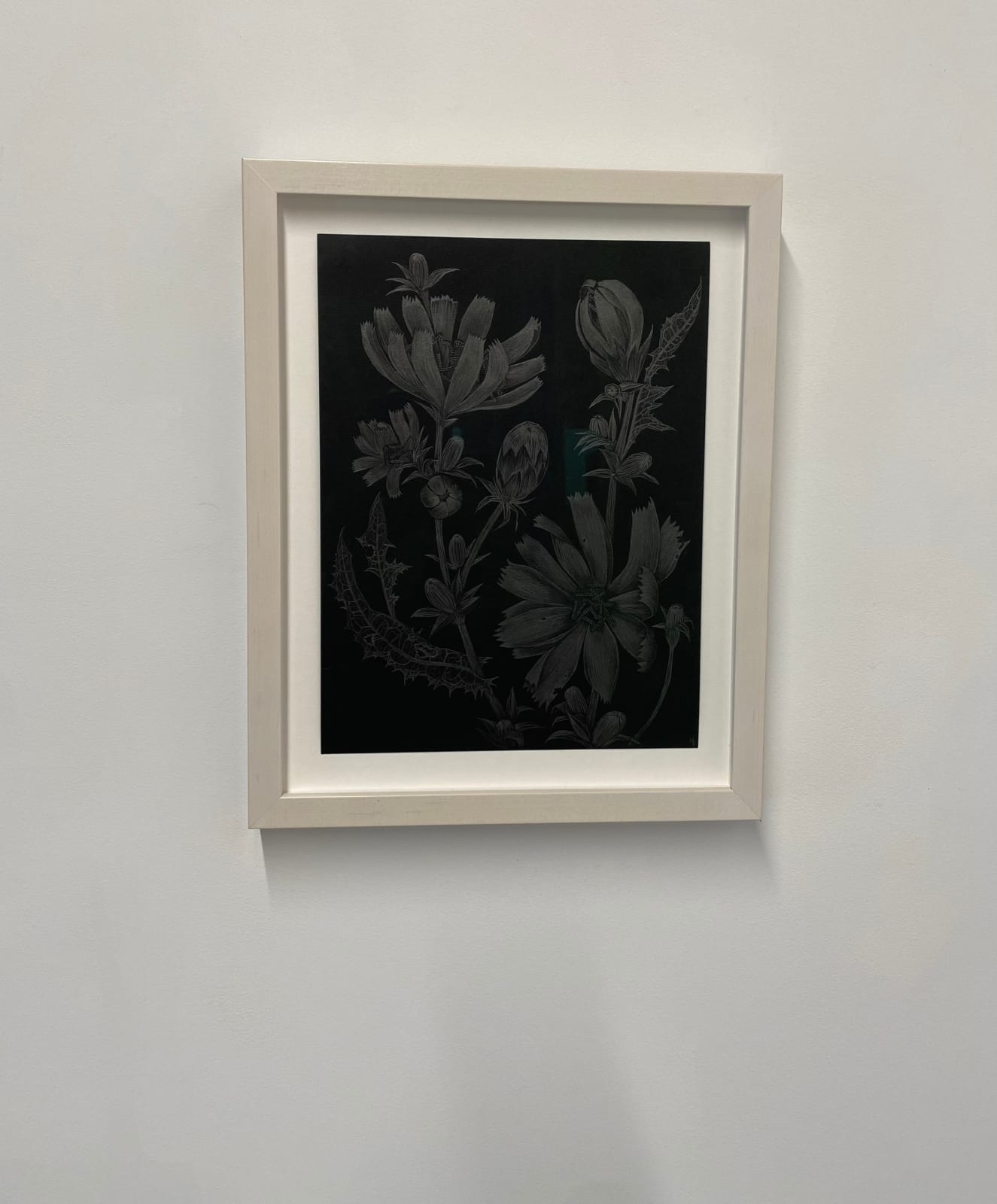 Margot Glass, Chicory 2, 2022