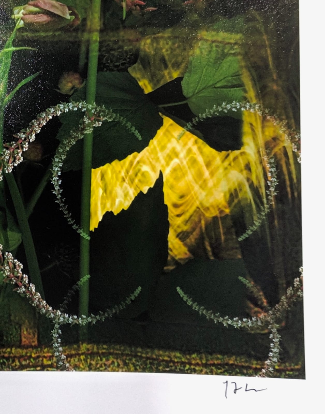 Lisa A. Frank, Nature's First Green is Gold..., 2018