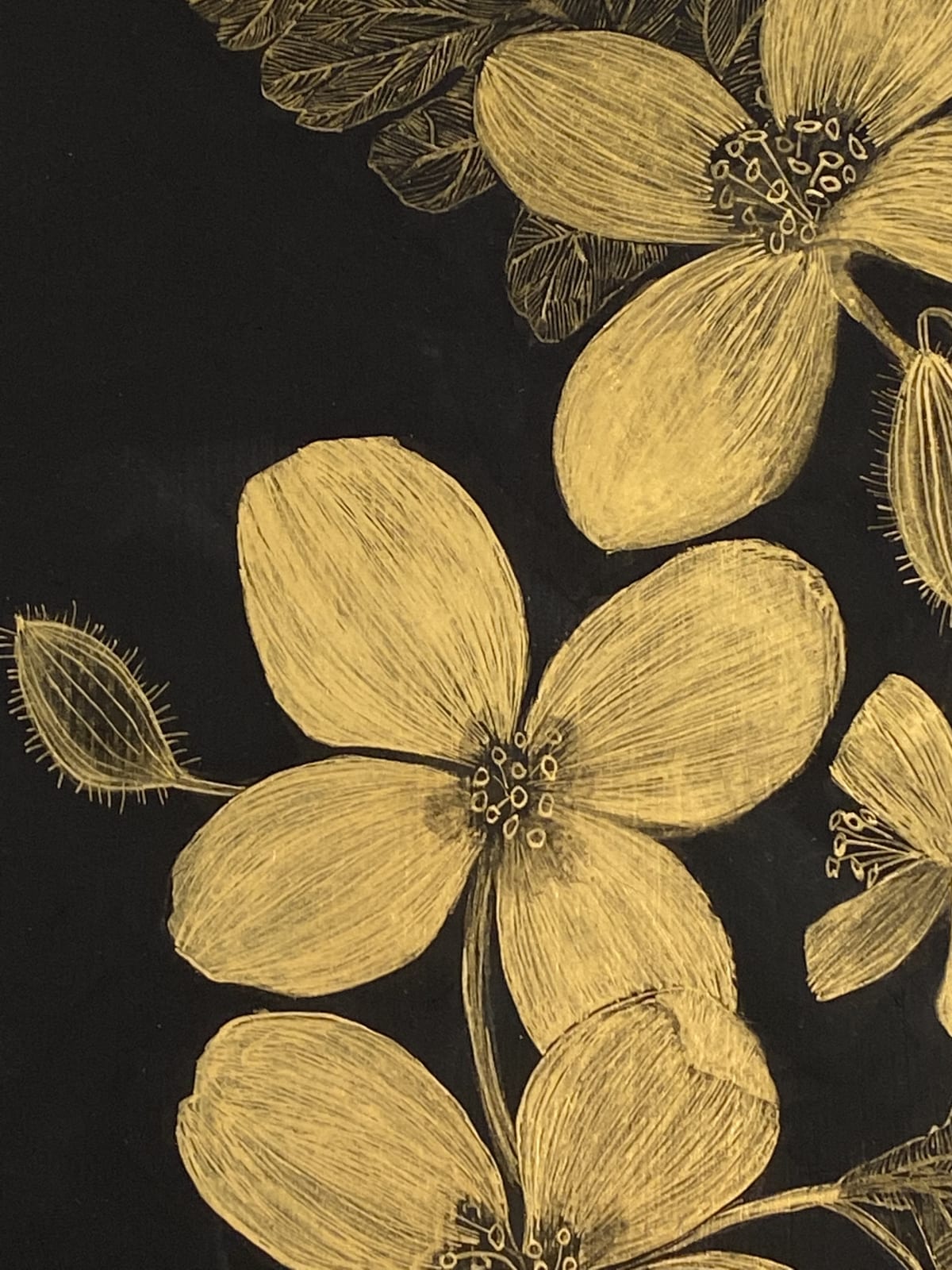 Margot Glass, Celandine, 2021