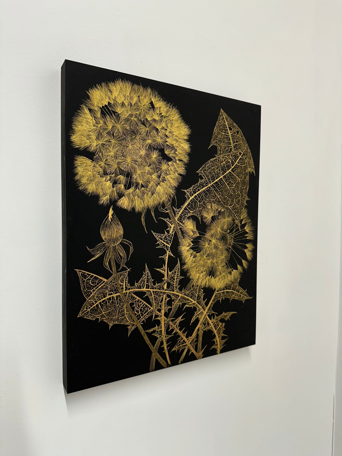Margot Glass, Dandelions with Bud 1, 2024