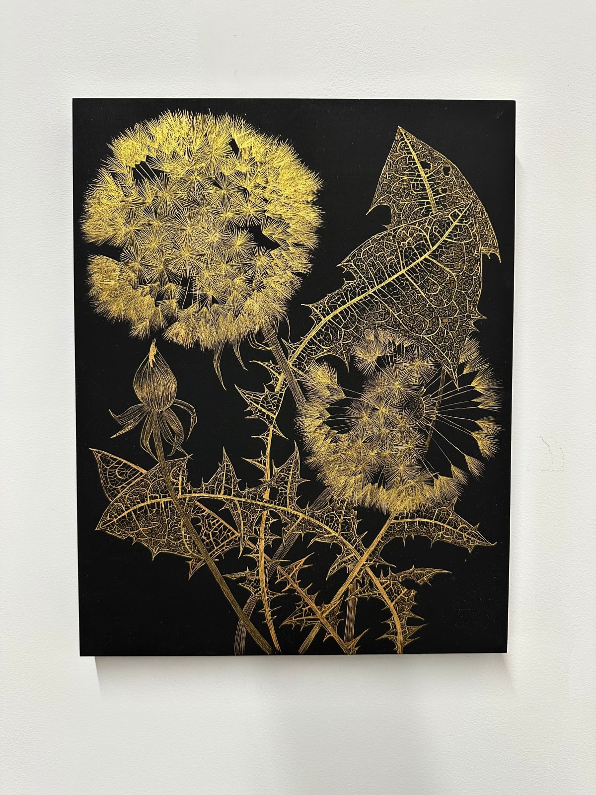 Margot Glass, Dandelions with Bud 1, 2024