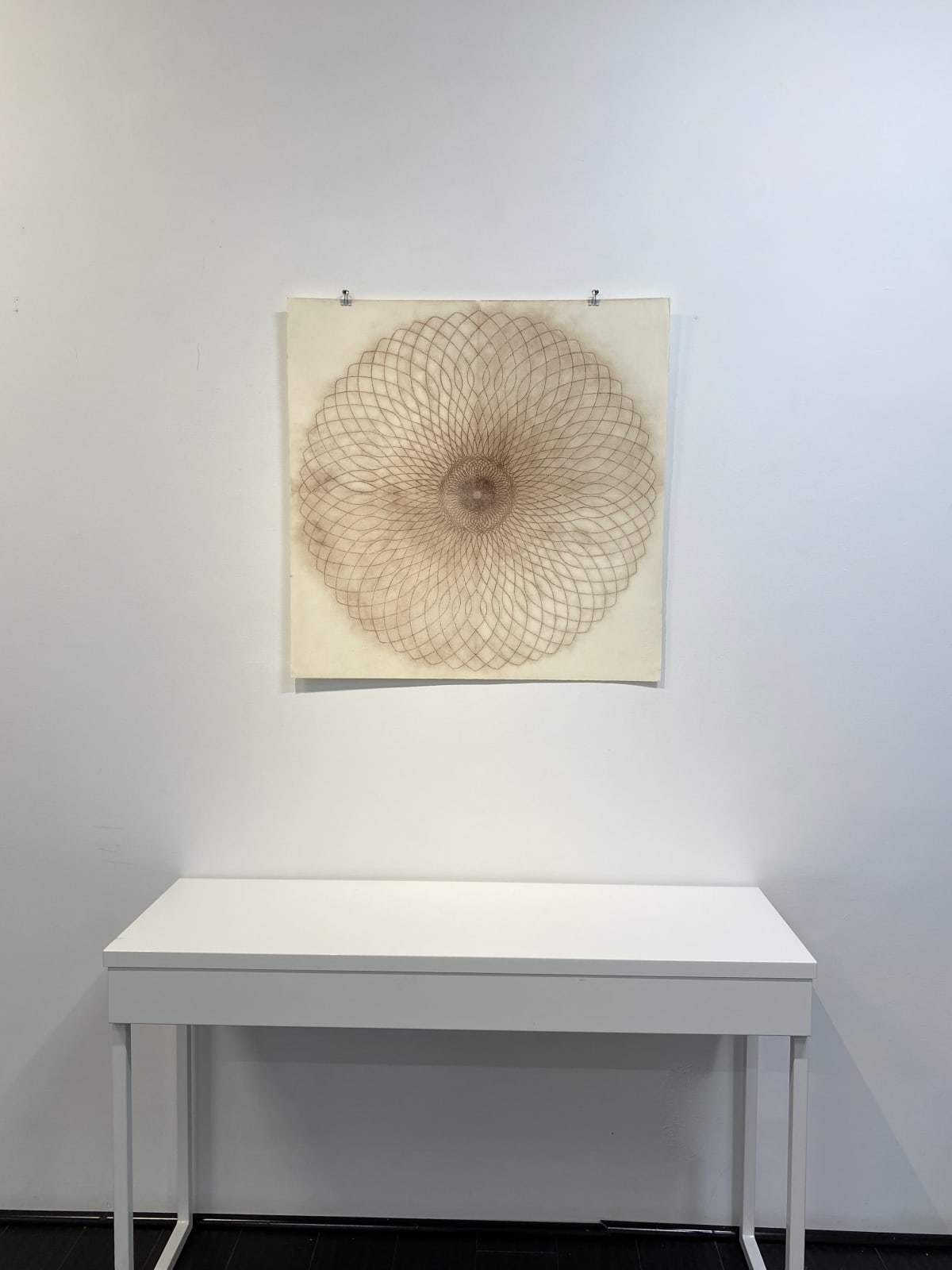 Mary Judge, Exotic Hex Series, 12/3, 2006