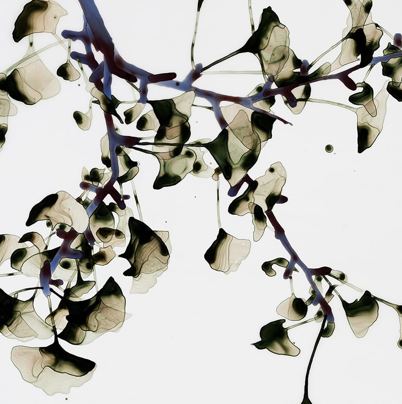 Jackie Battenfield, Salt Mist, 2018