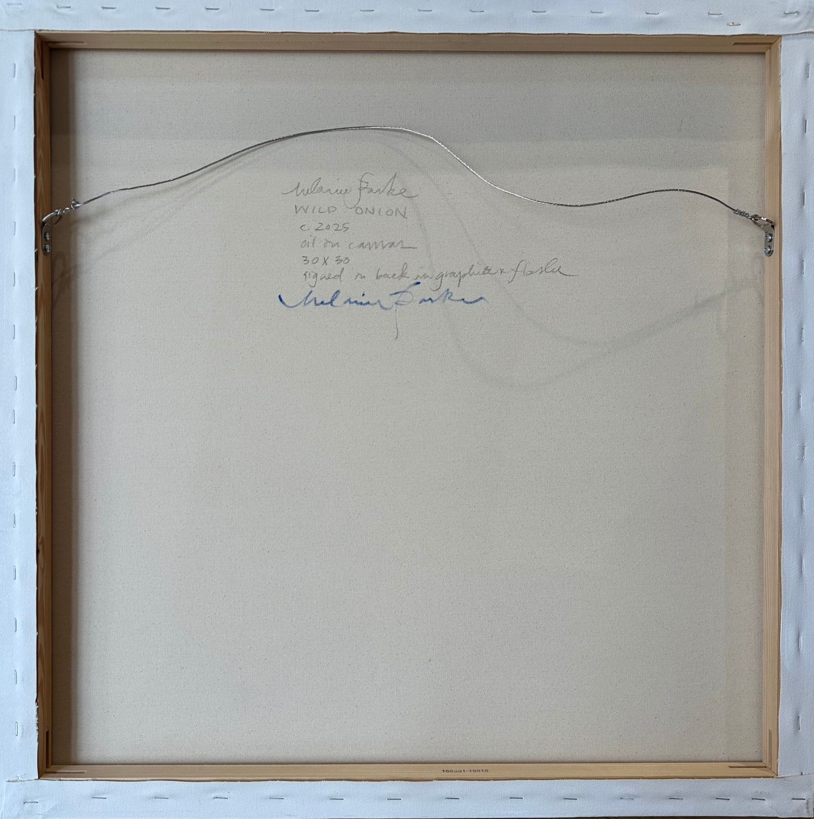 Melanie Parke, Wild Onion, 2025