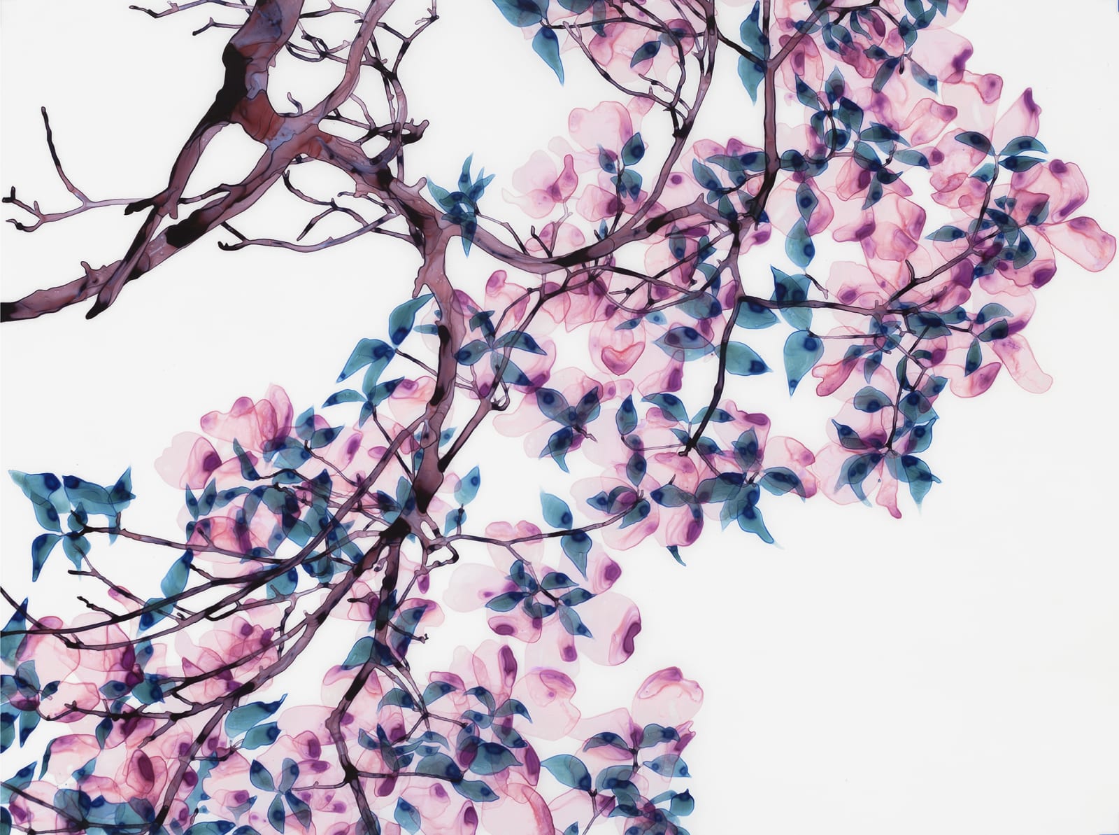 Jackie Battenfield, Tickled Pink, 2018